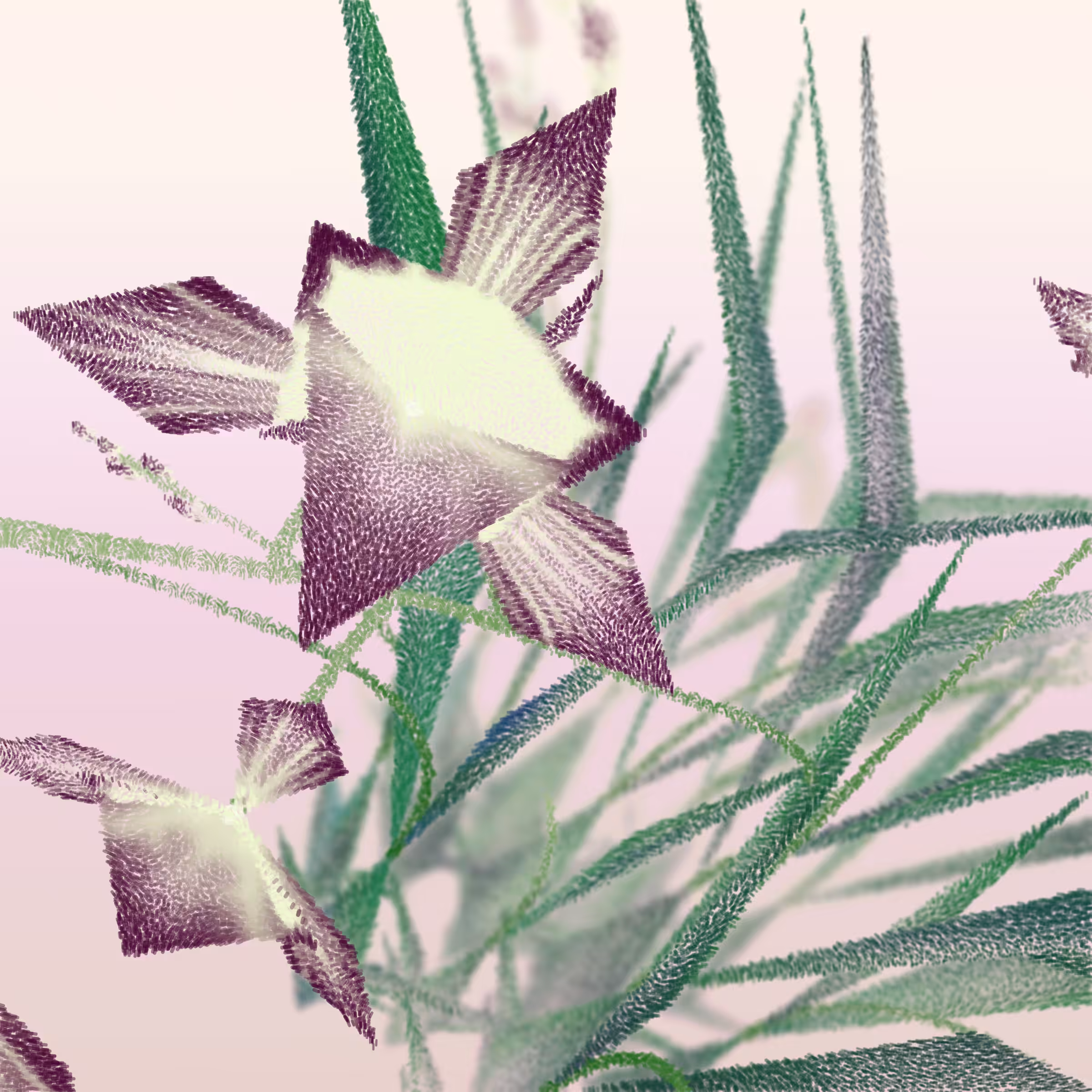 Cattleya #269