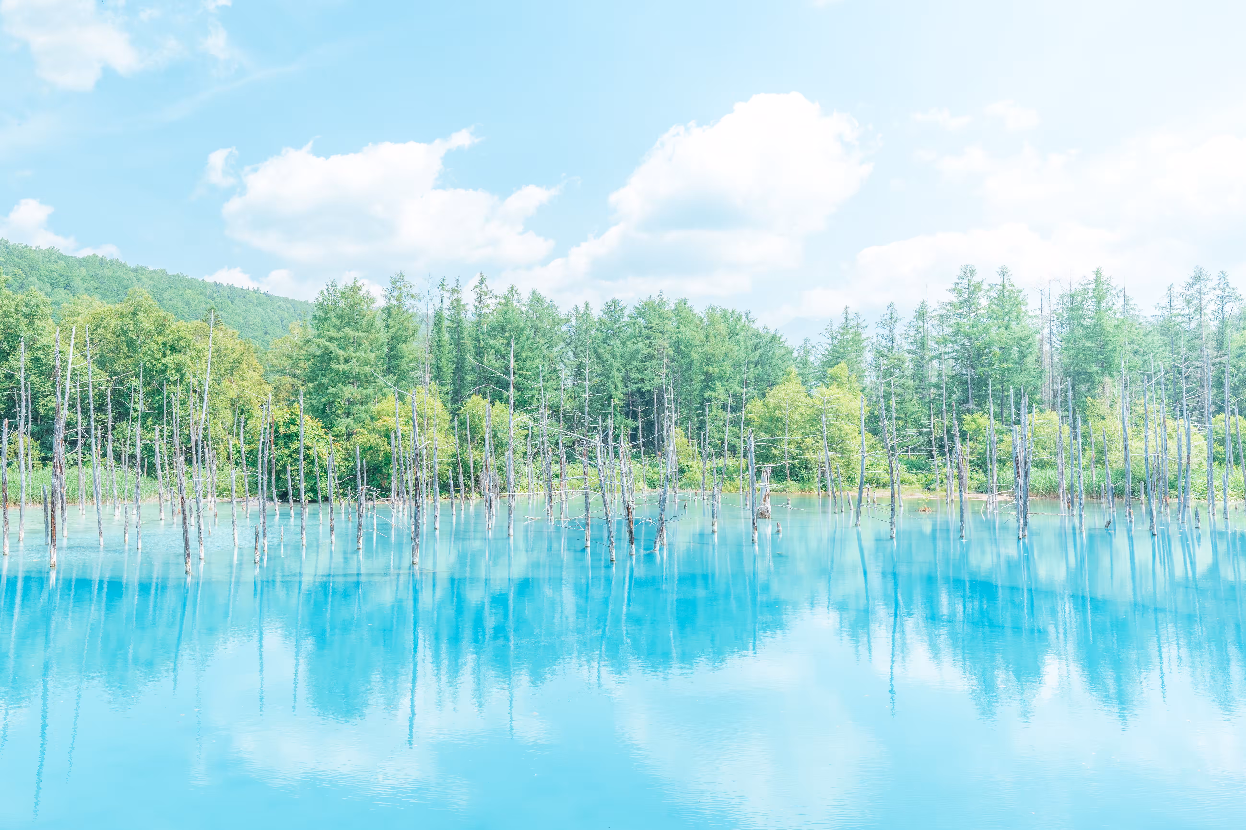 Blue Pond