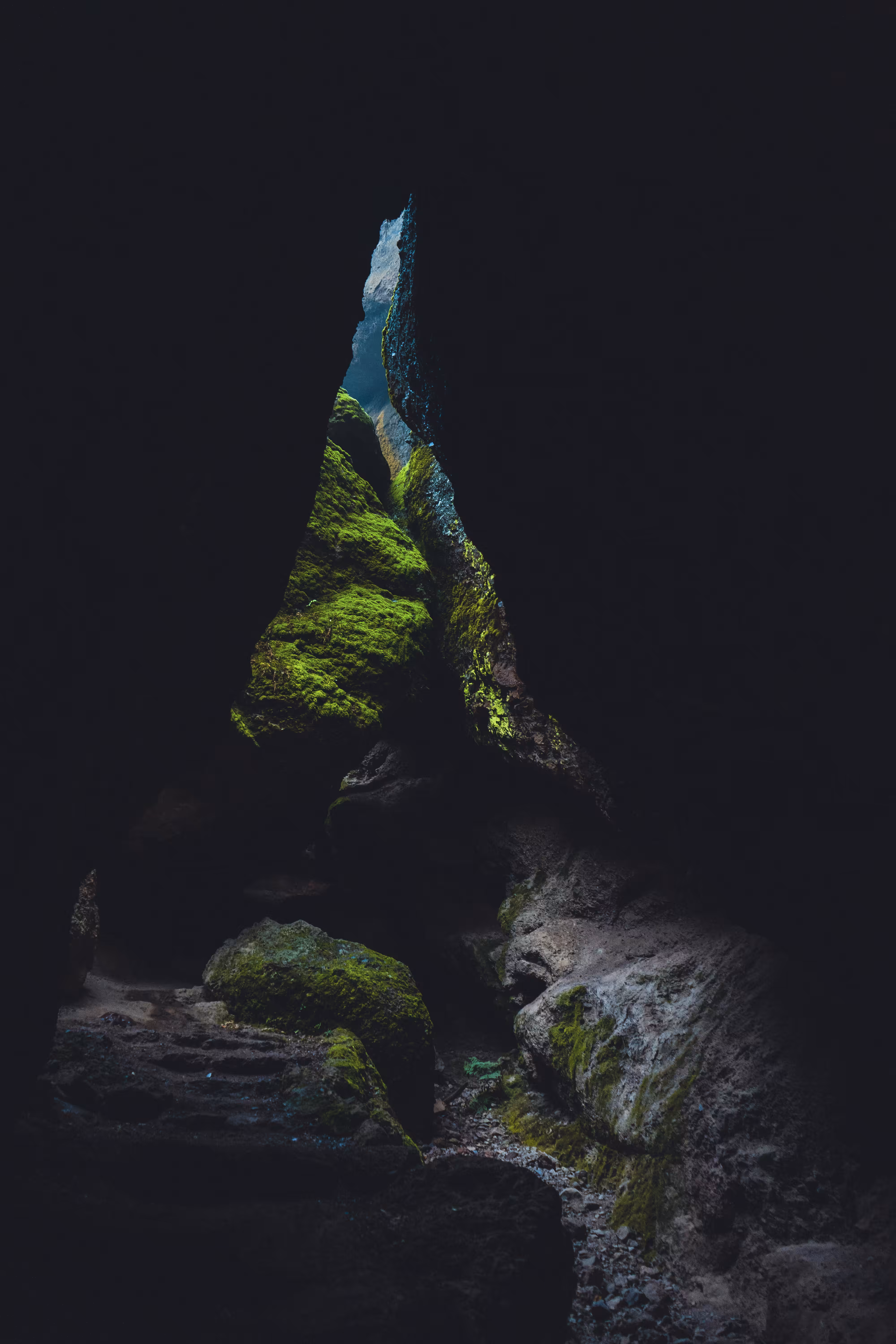 Lush Temple