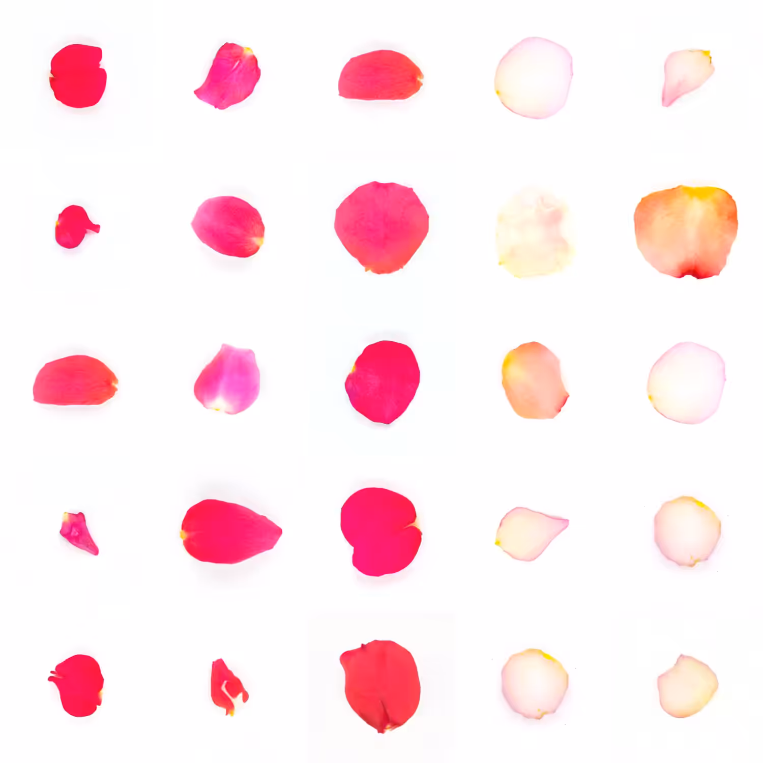 Infinite Petals 5x5#21180