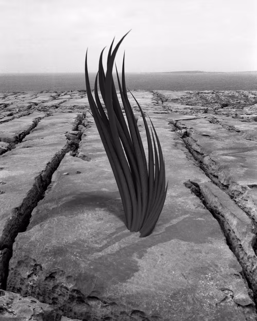 Perceived Landscape #4