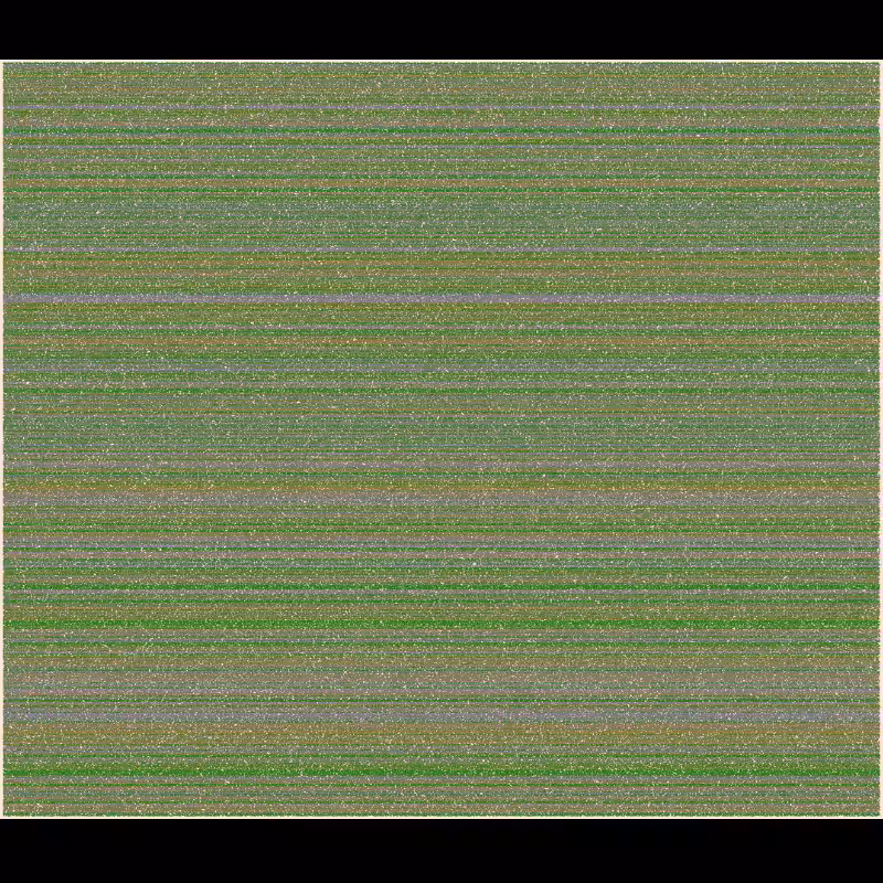 Quads and Triangles #126