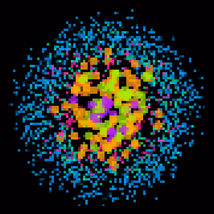 The Data Visualizer #6