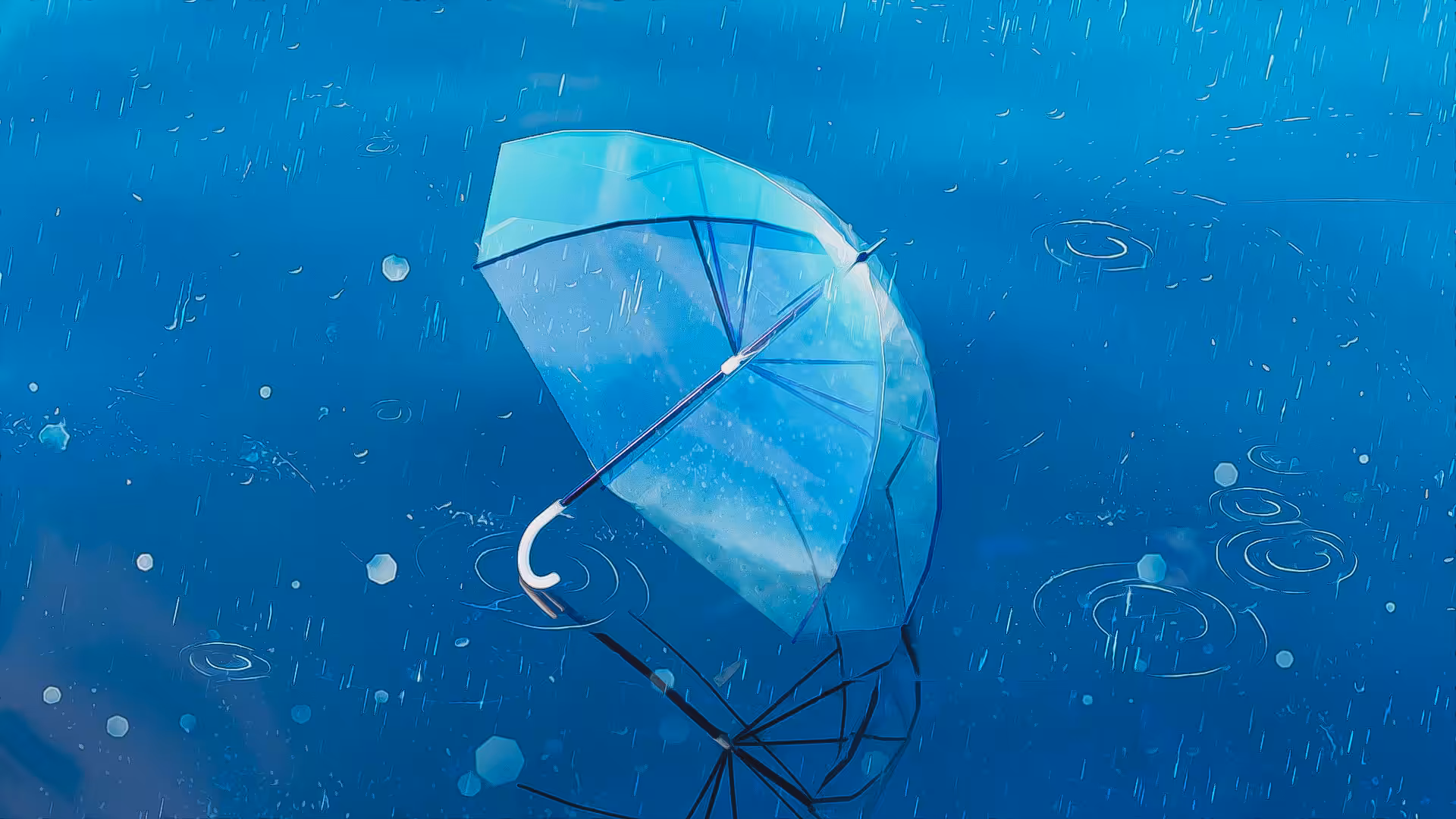 Summer
