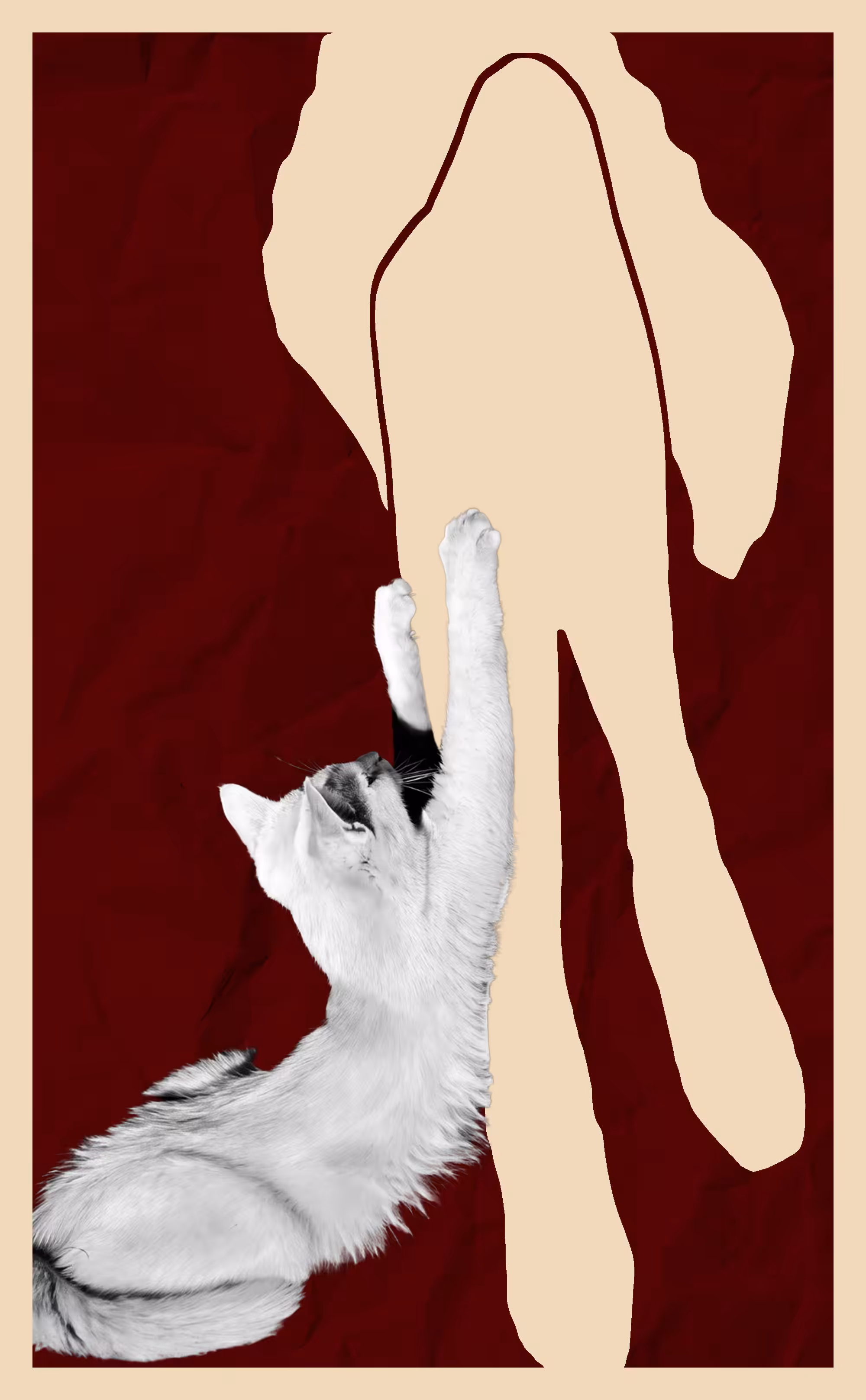 Woman and the Cat