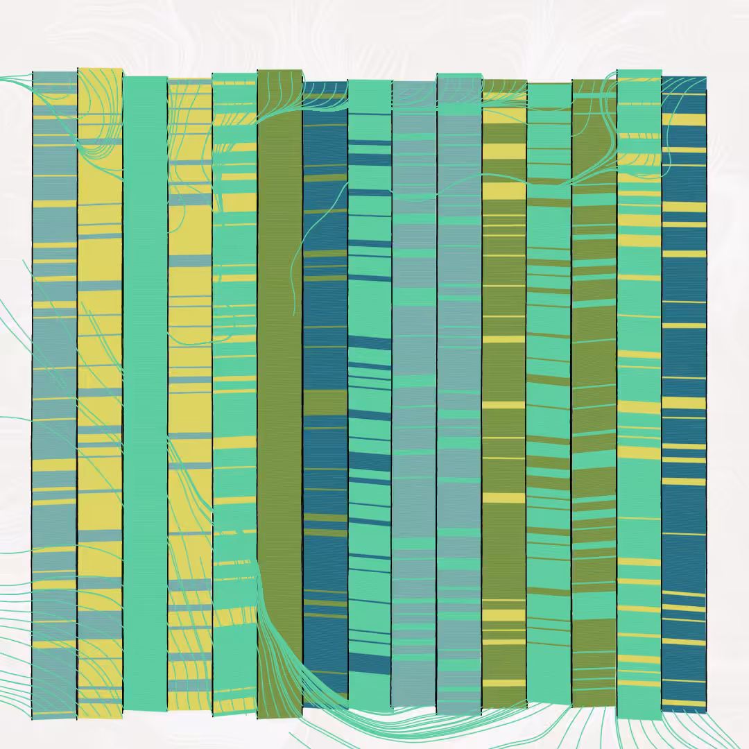 Rug #43