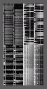 Rodeo posts: 4 Spectrograms