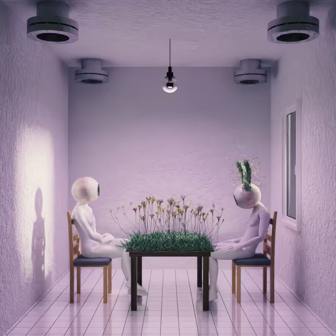 roomwater (3): a very strange dinner