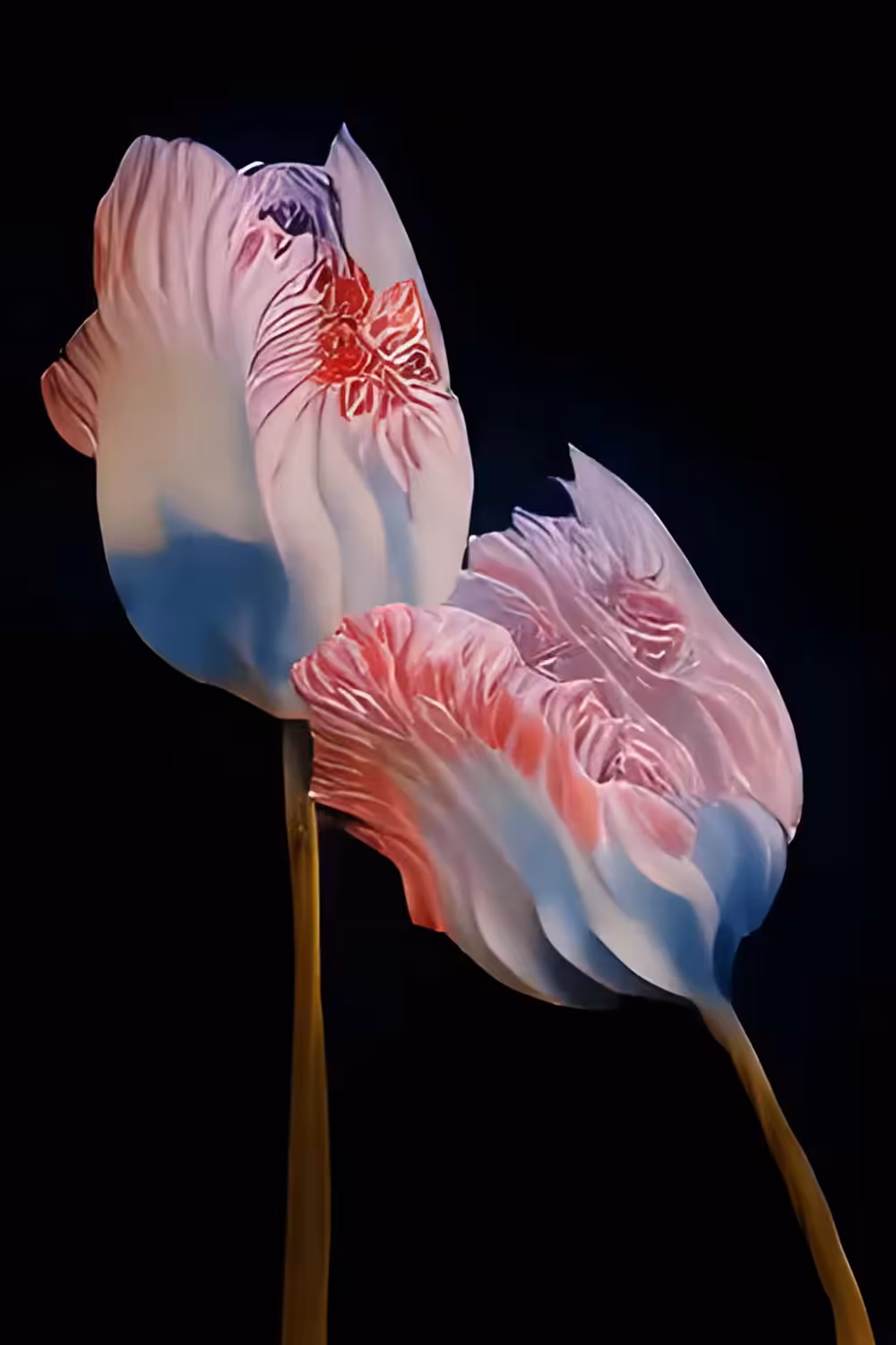 FLOWERS 7