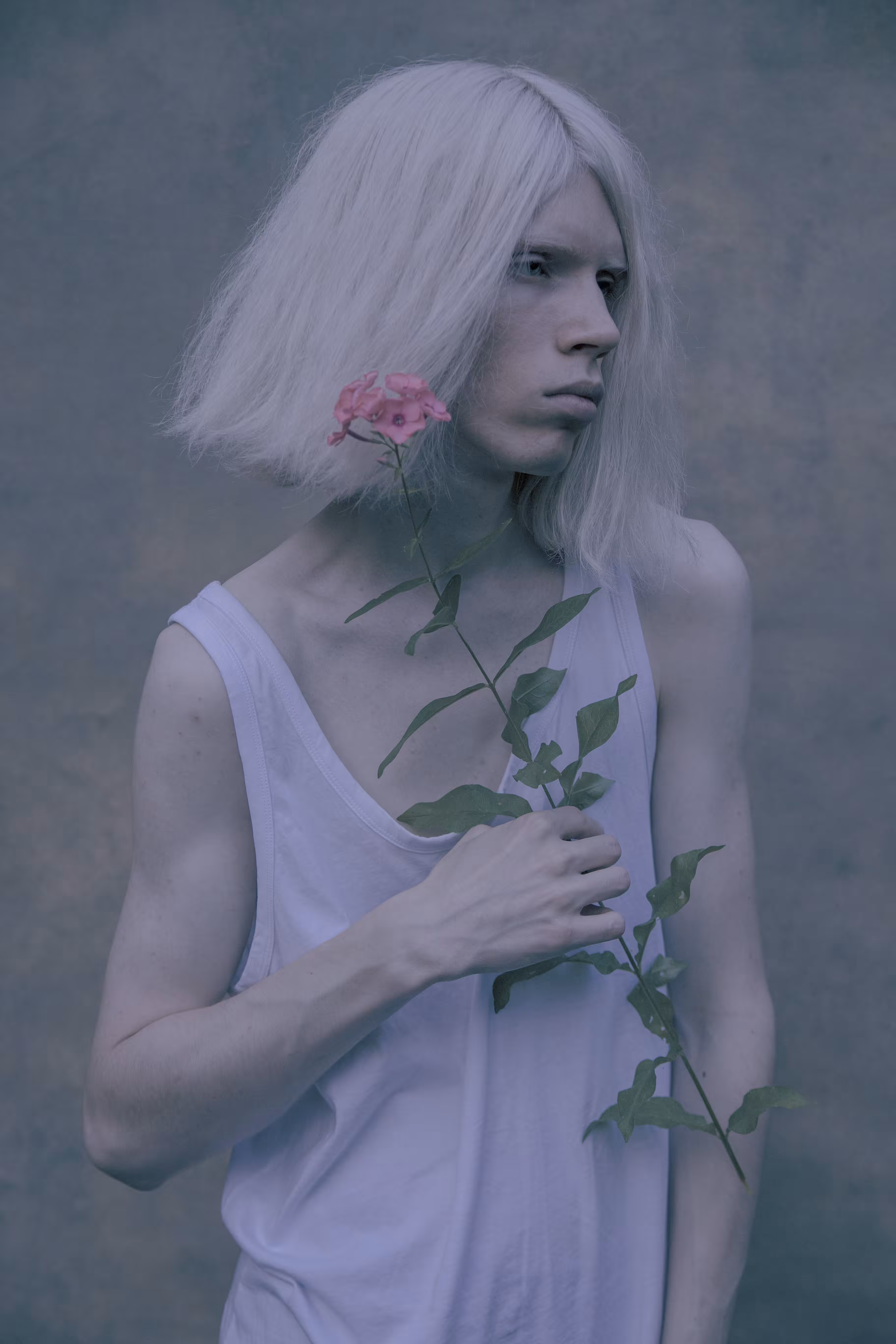 Wildflower