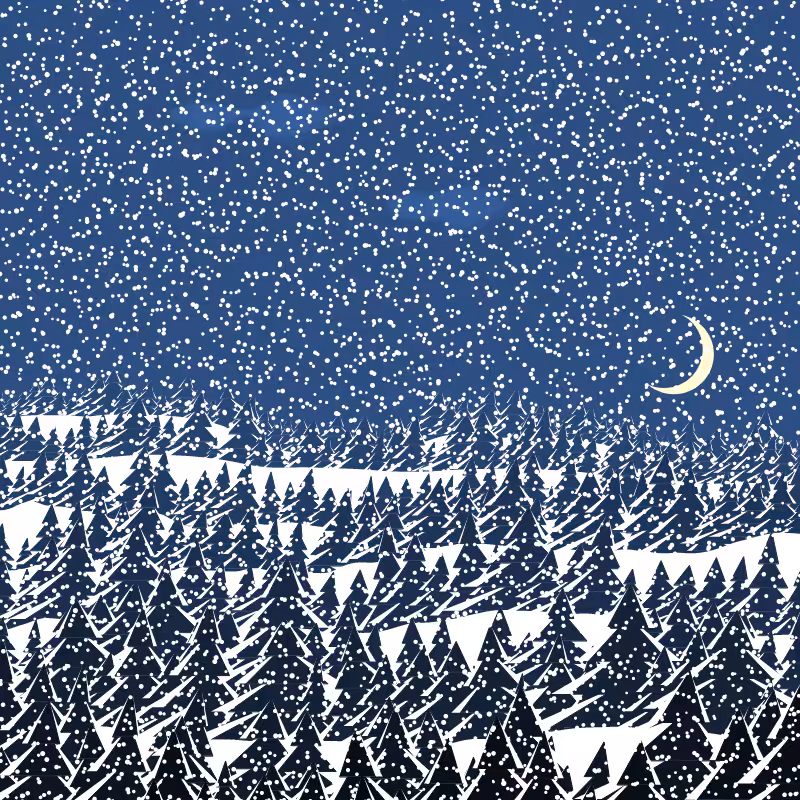 Winterland #137