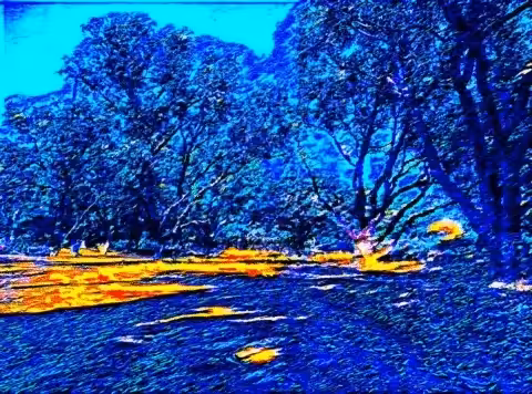 There are those Trees