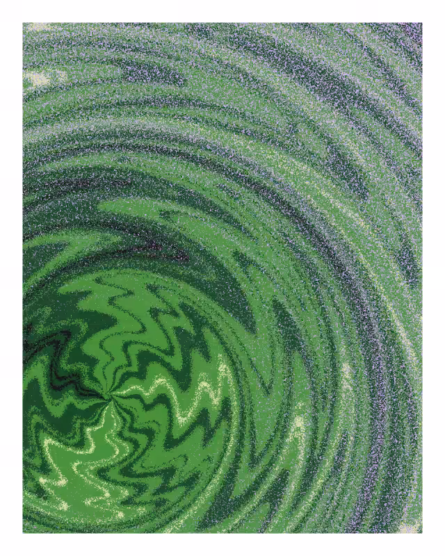Pohā #35