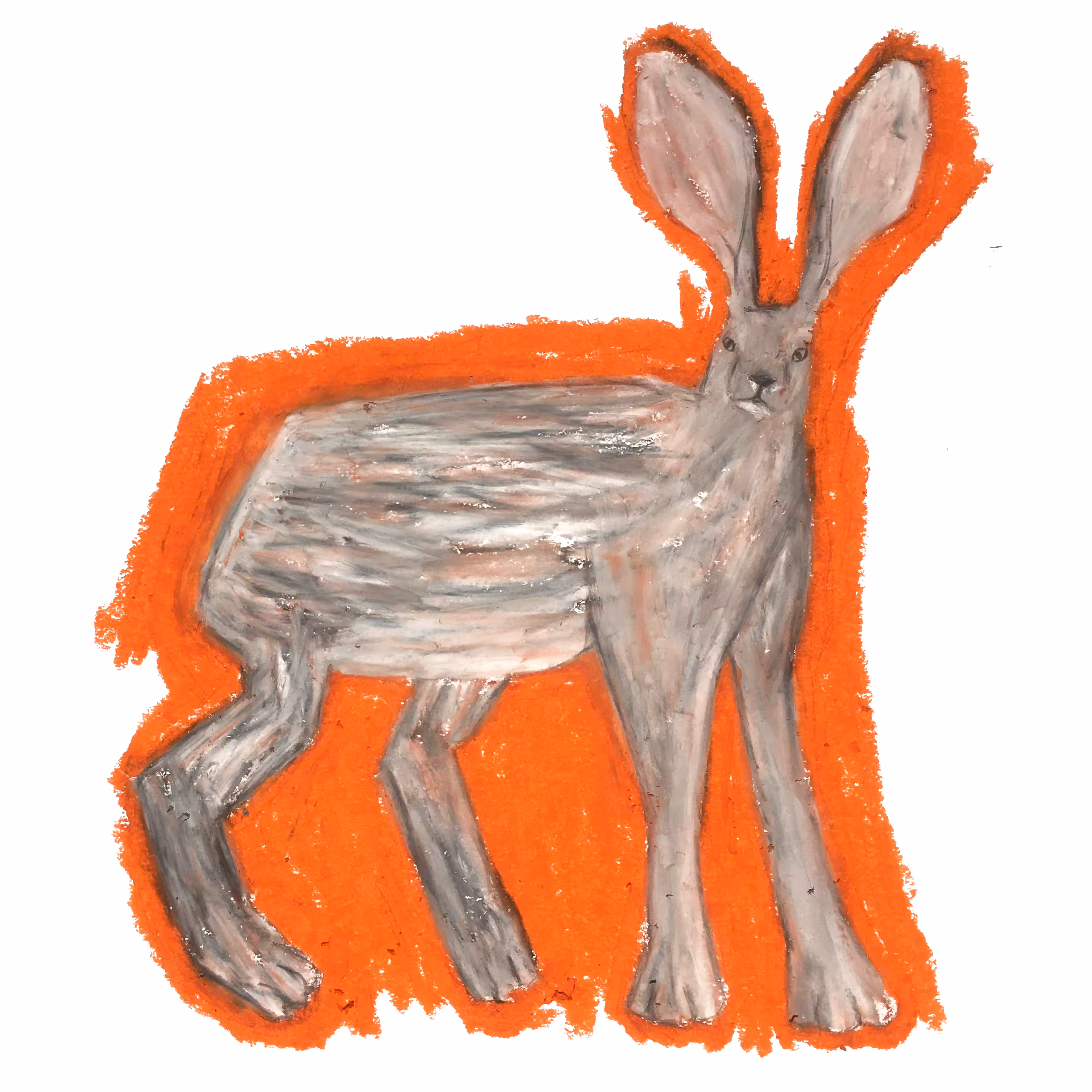 Clueless Hare