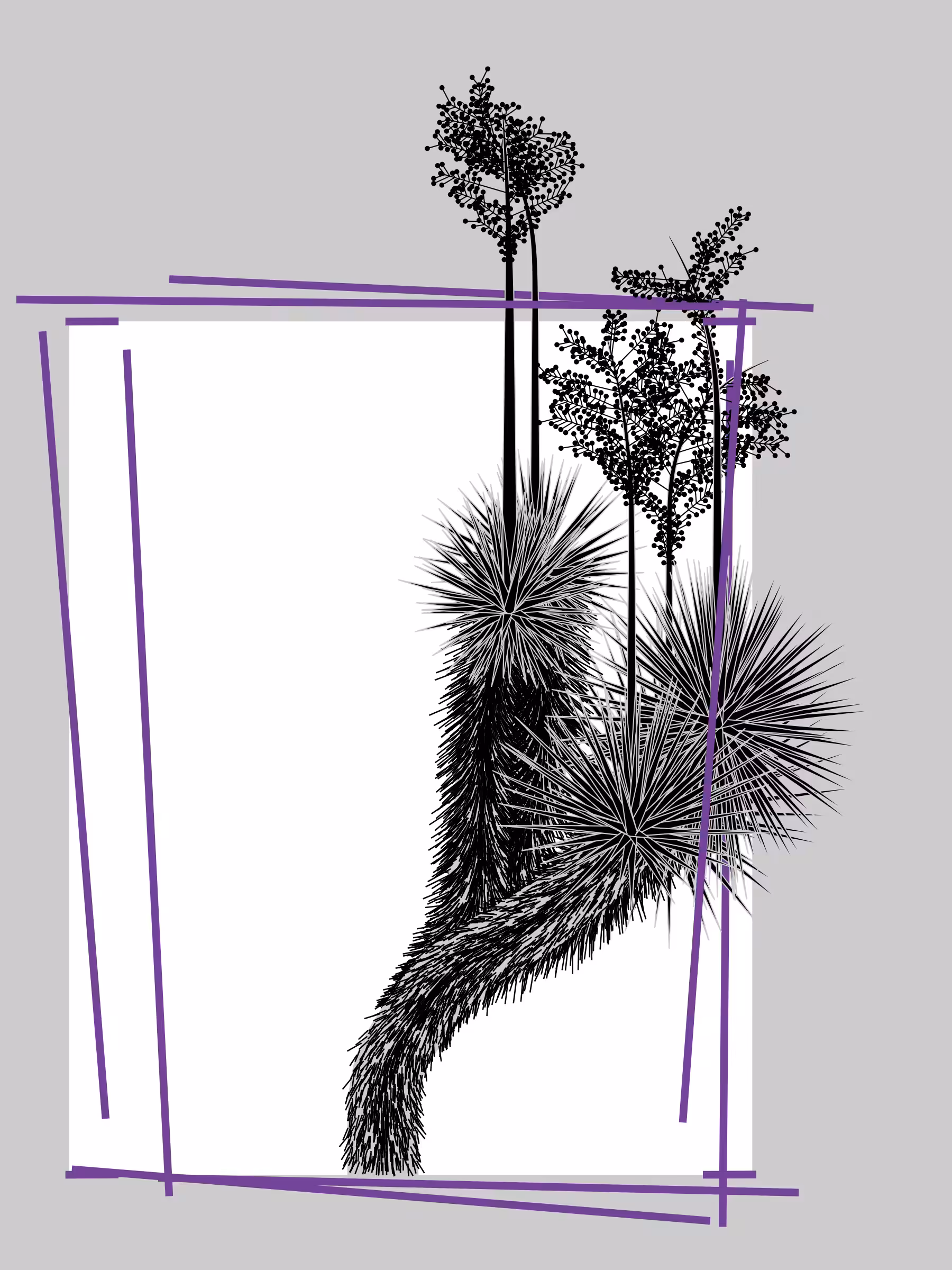 Marfa Yucca #21