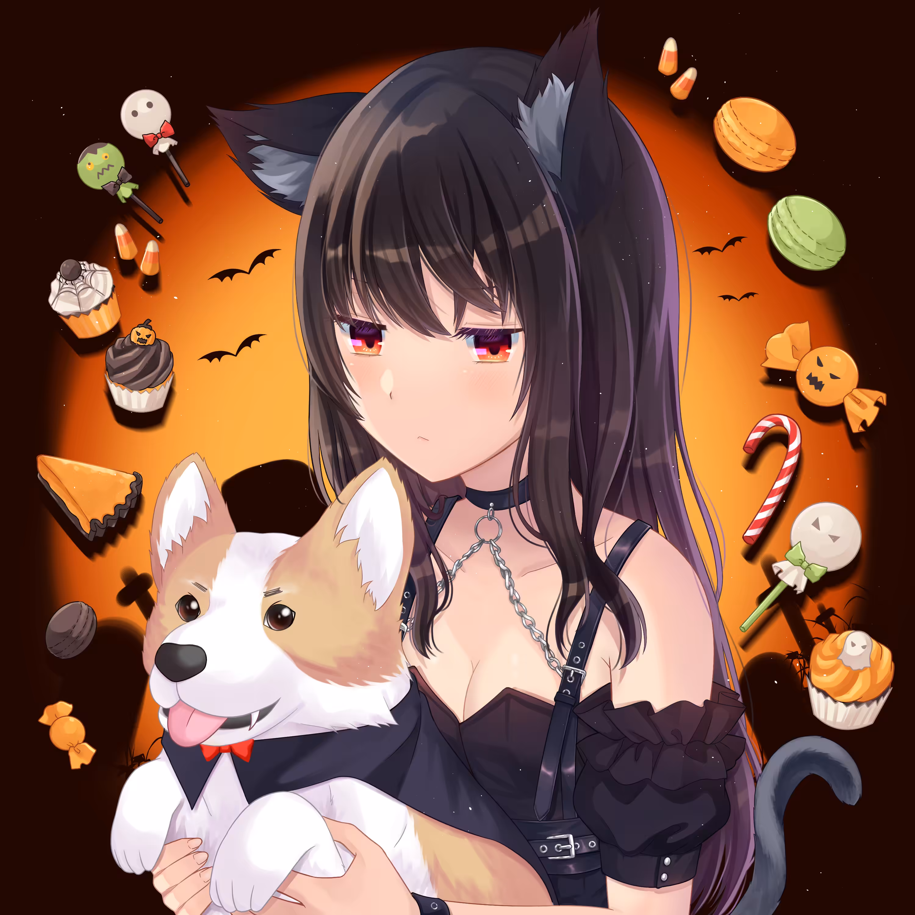 Black cat and vampire corgi