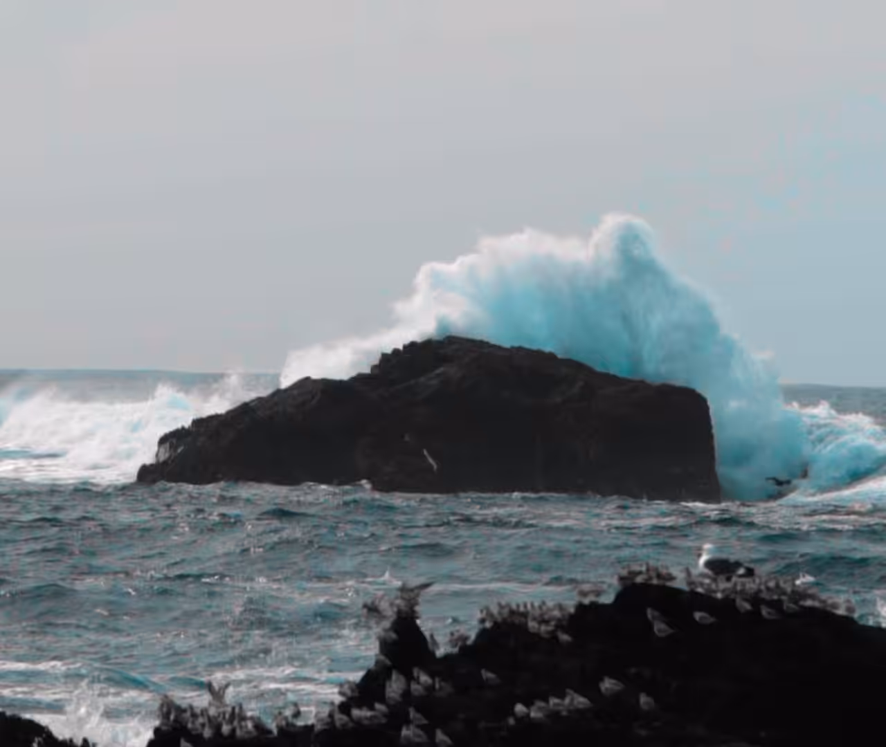 Crash Loop