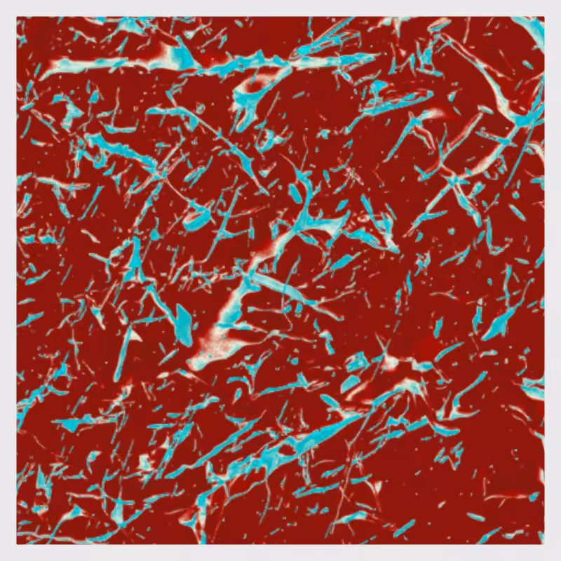 Dynamical System #4