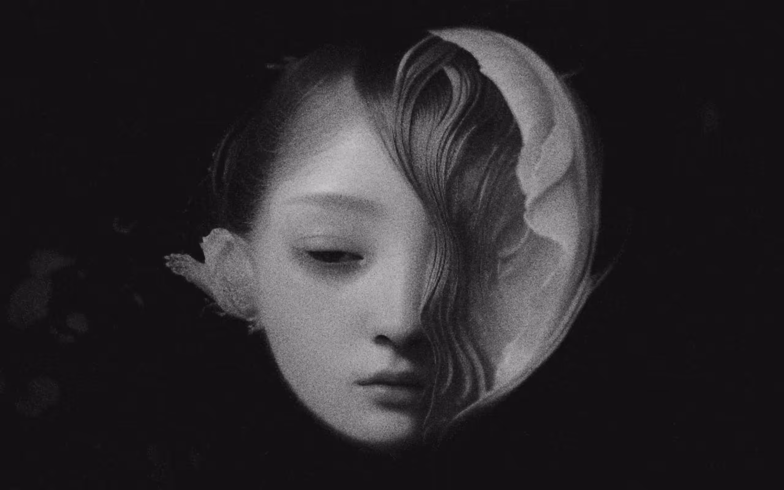 Iv Solyaev - Shell