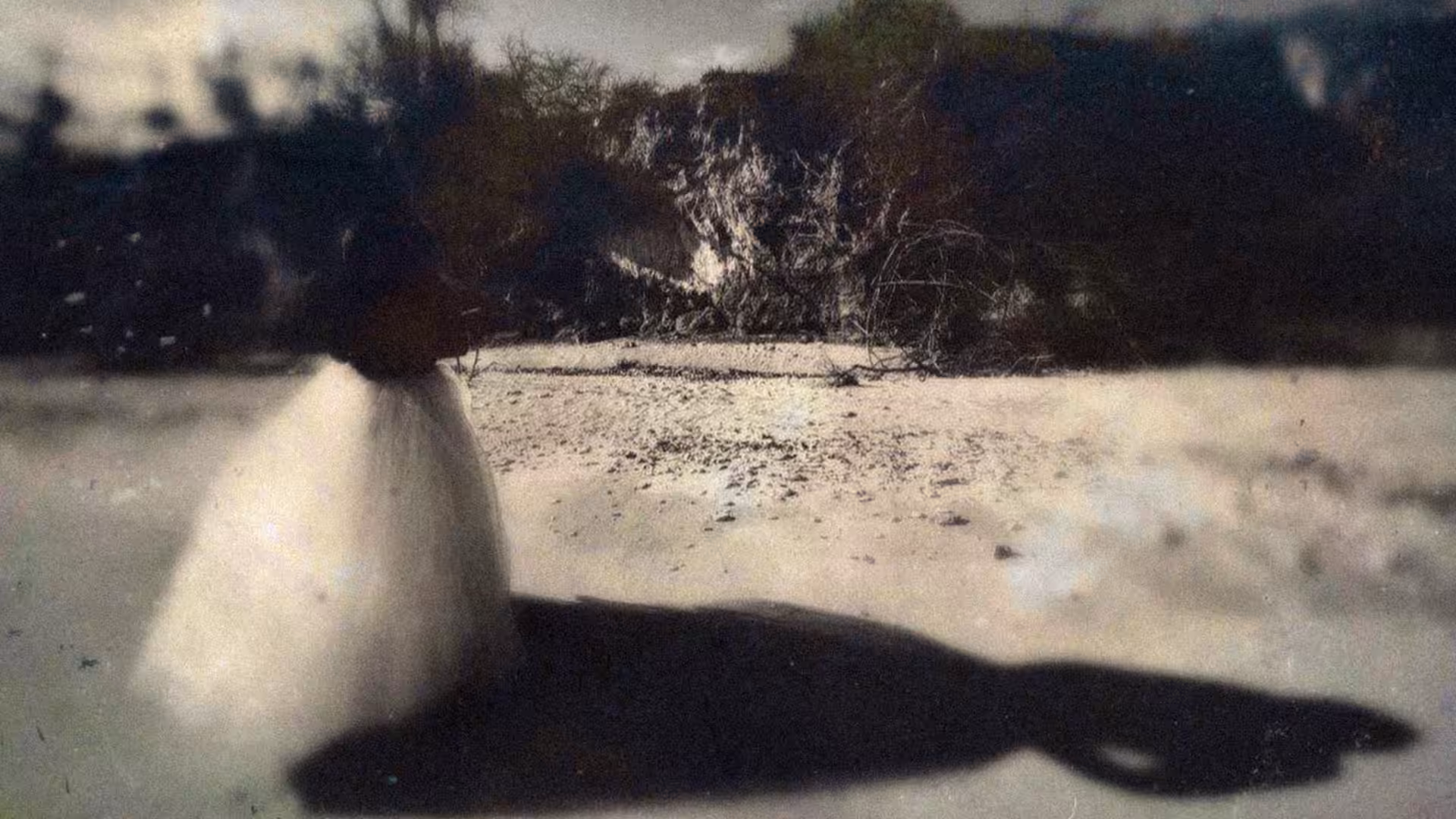 autoportraits: • Myth of the Hollow Queen •