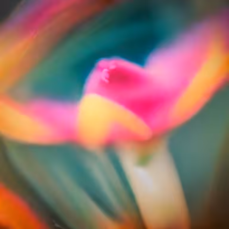 Flower #7