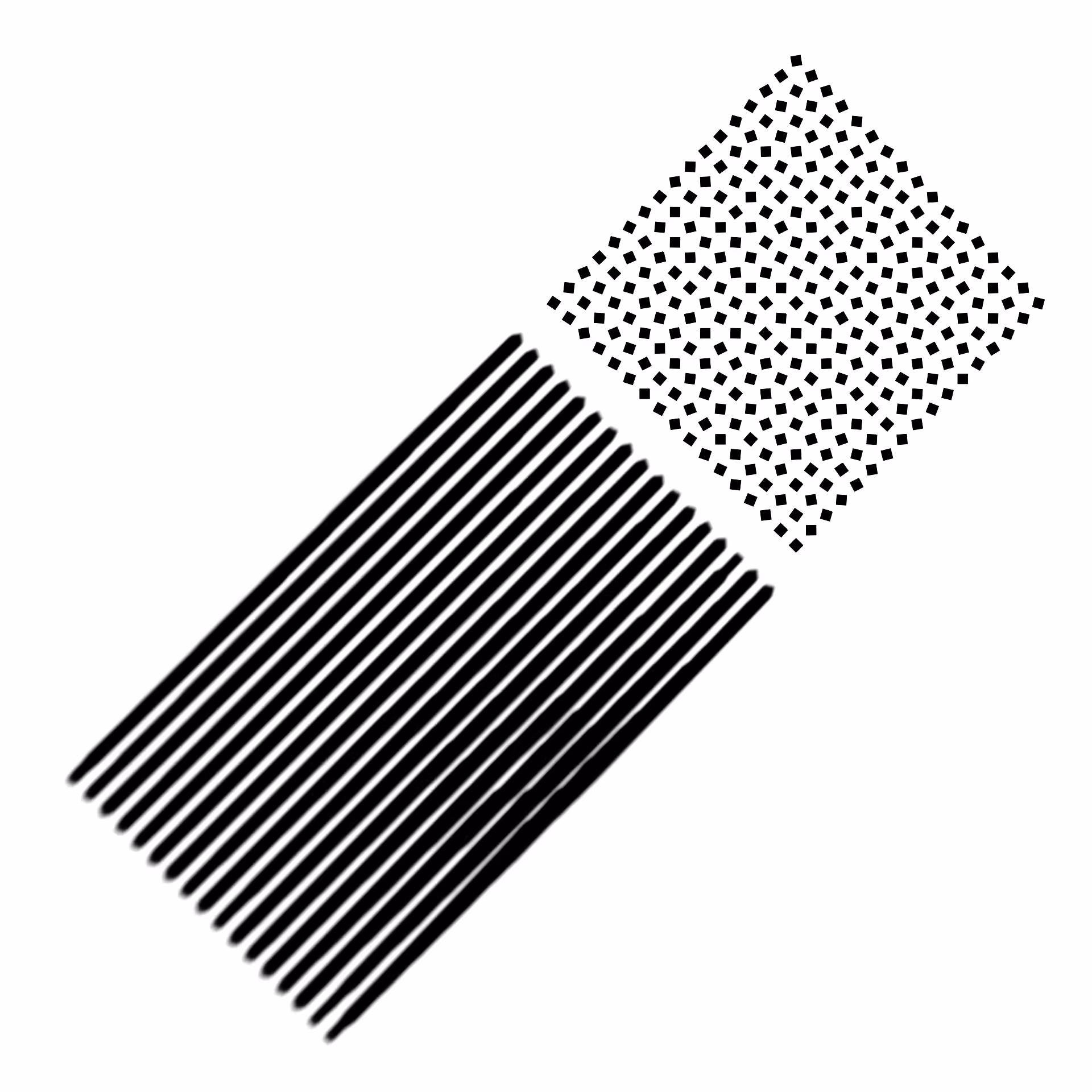 Elevation #4¹¹¹¹