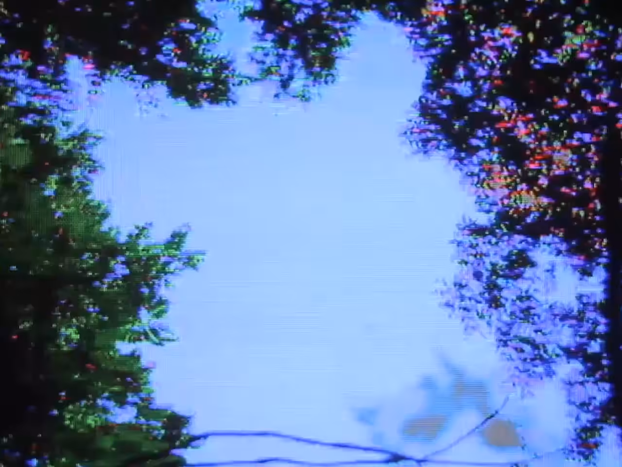 Loop at the sky