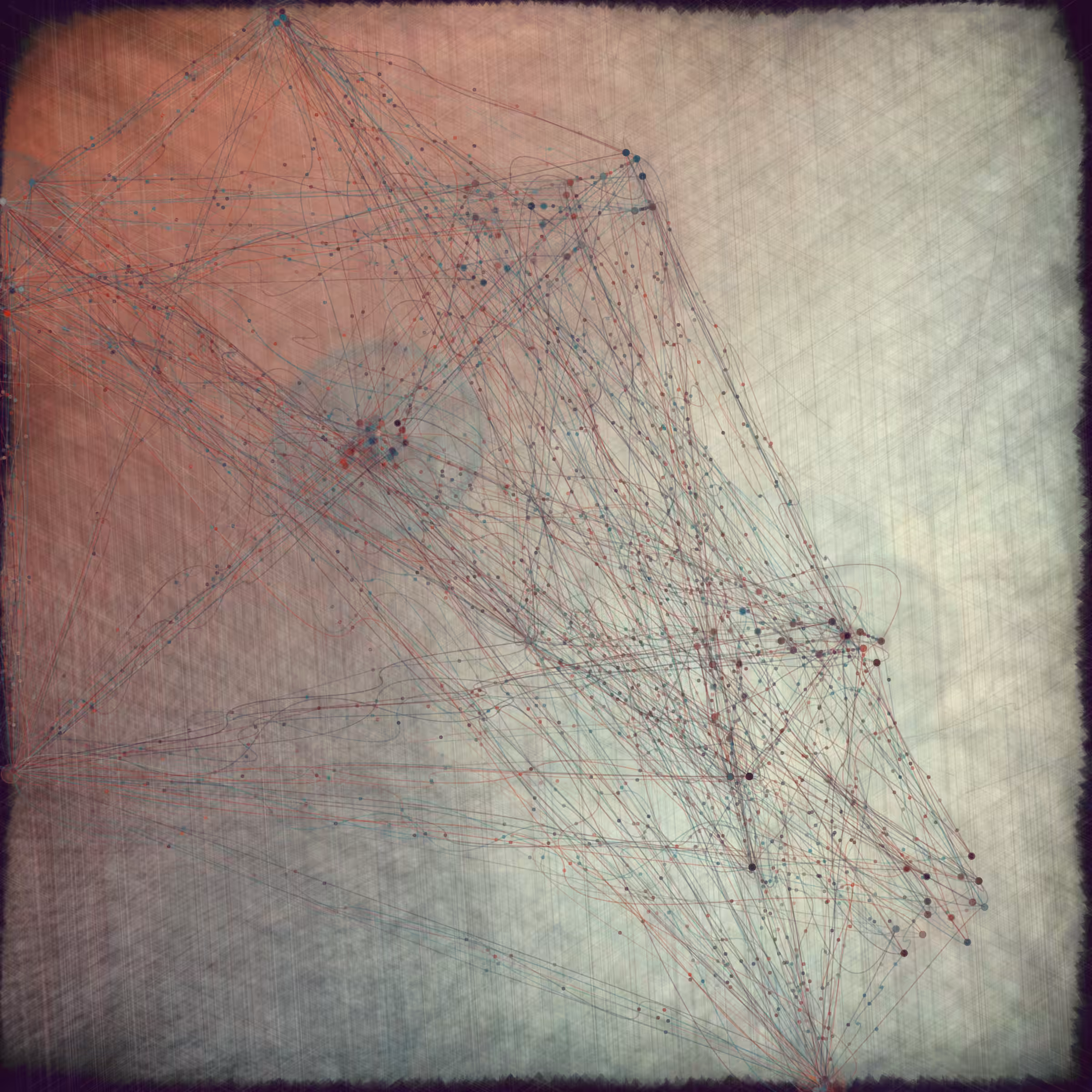 Reticulum