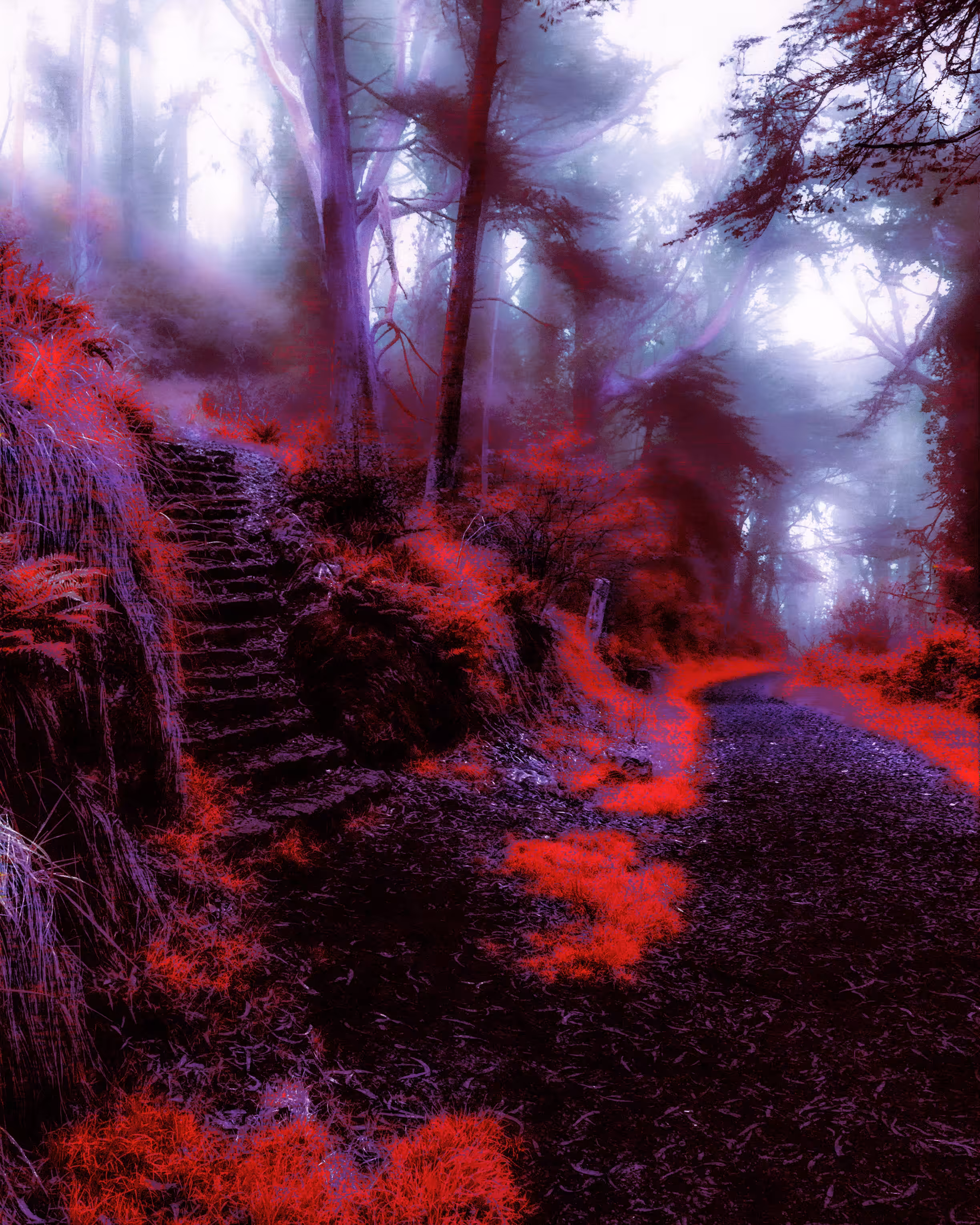 dreamrealm-1