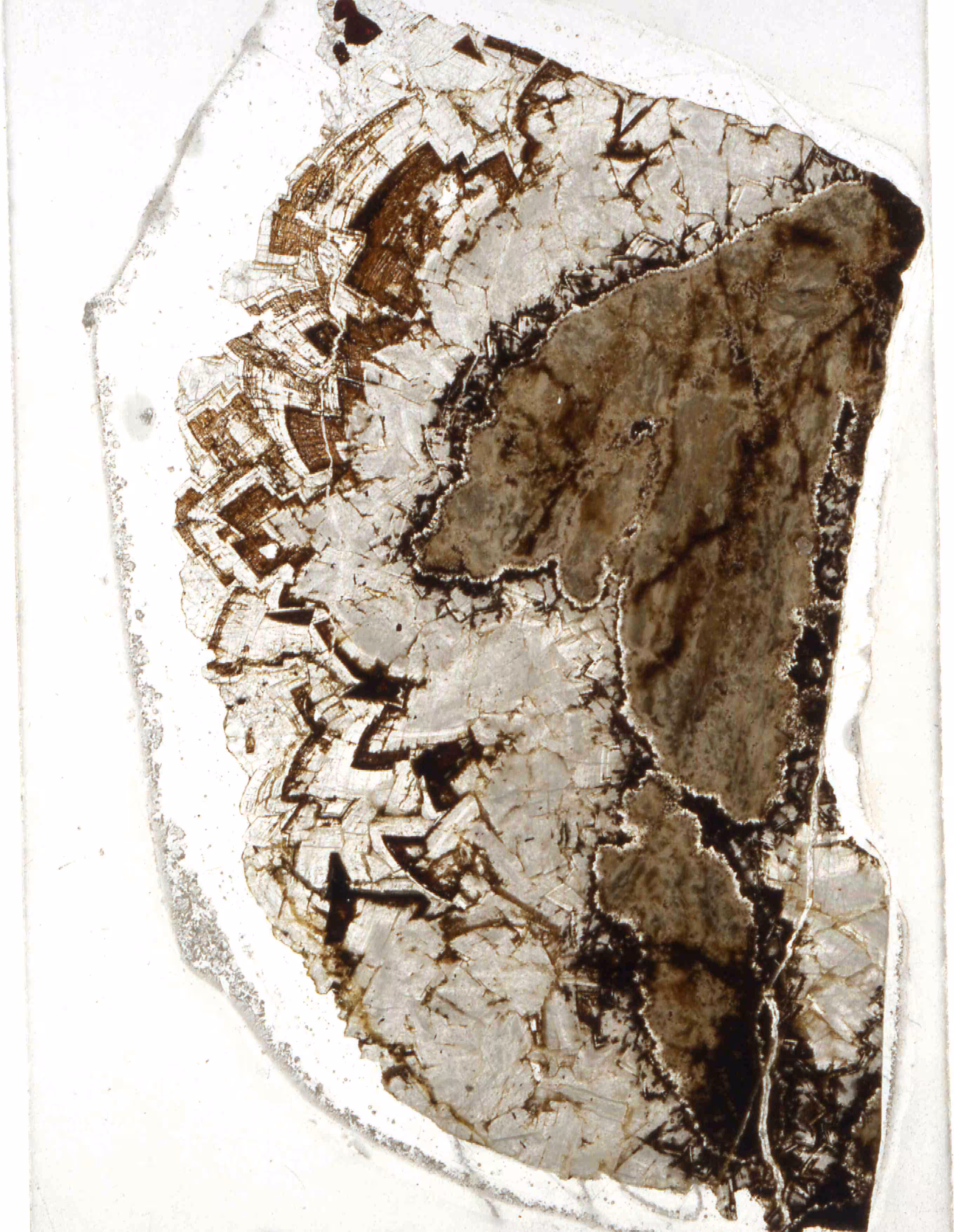 IOM032
