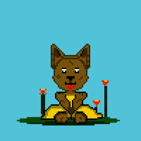 dog15