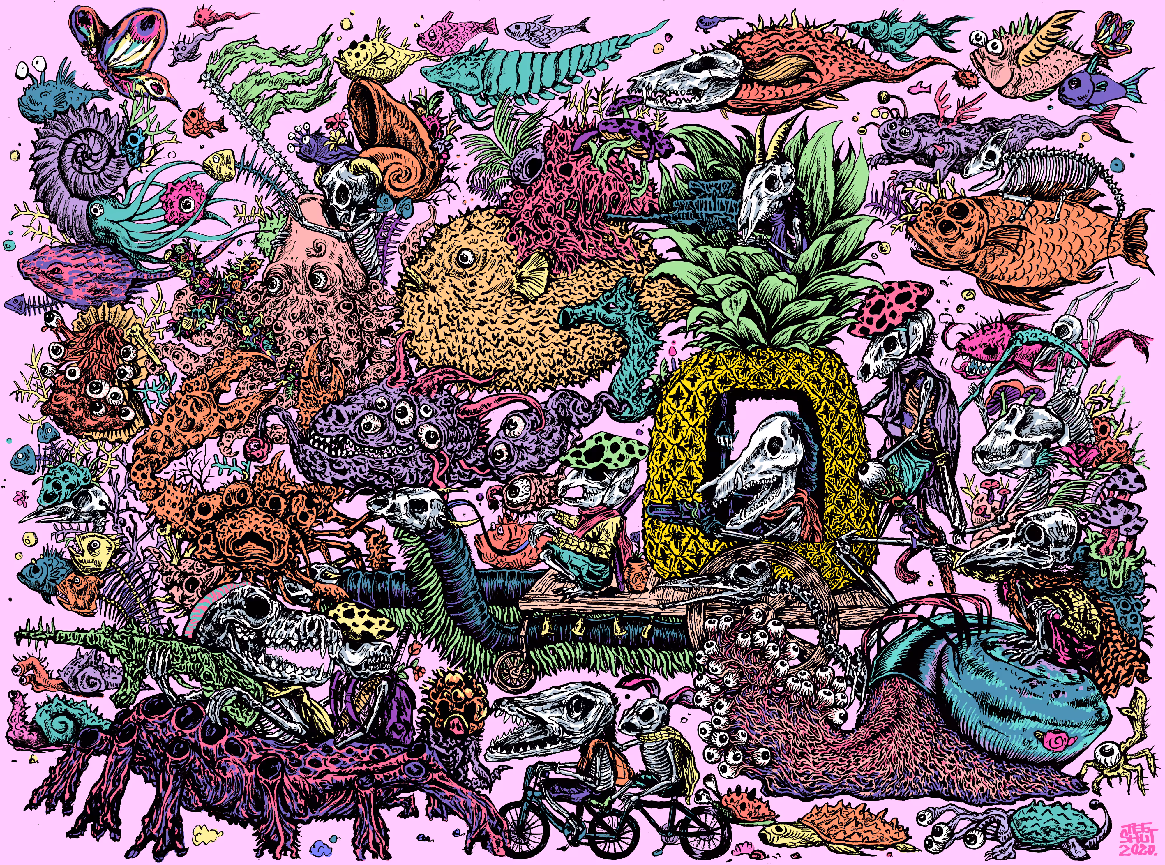 WALK #01 (the afterlife of animal skulls)