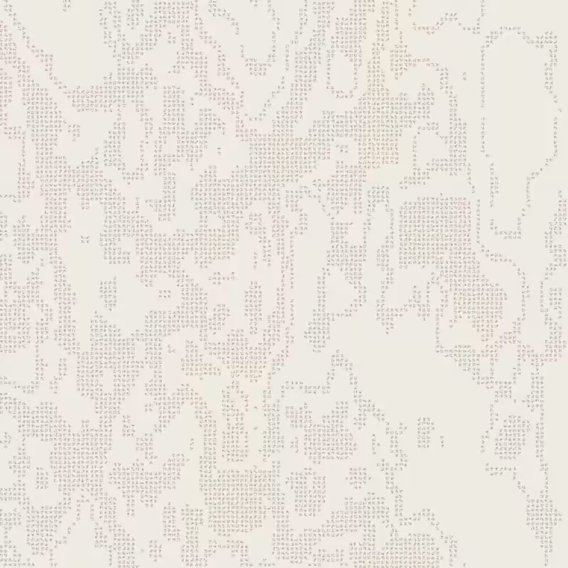 Petri 1500 #143
