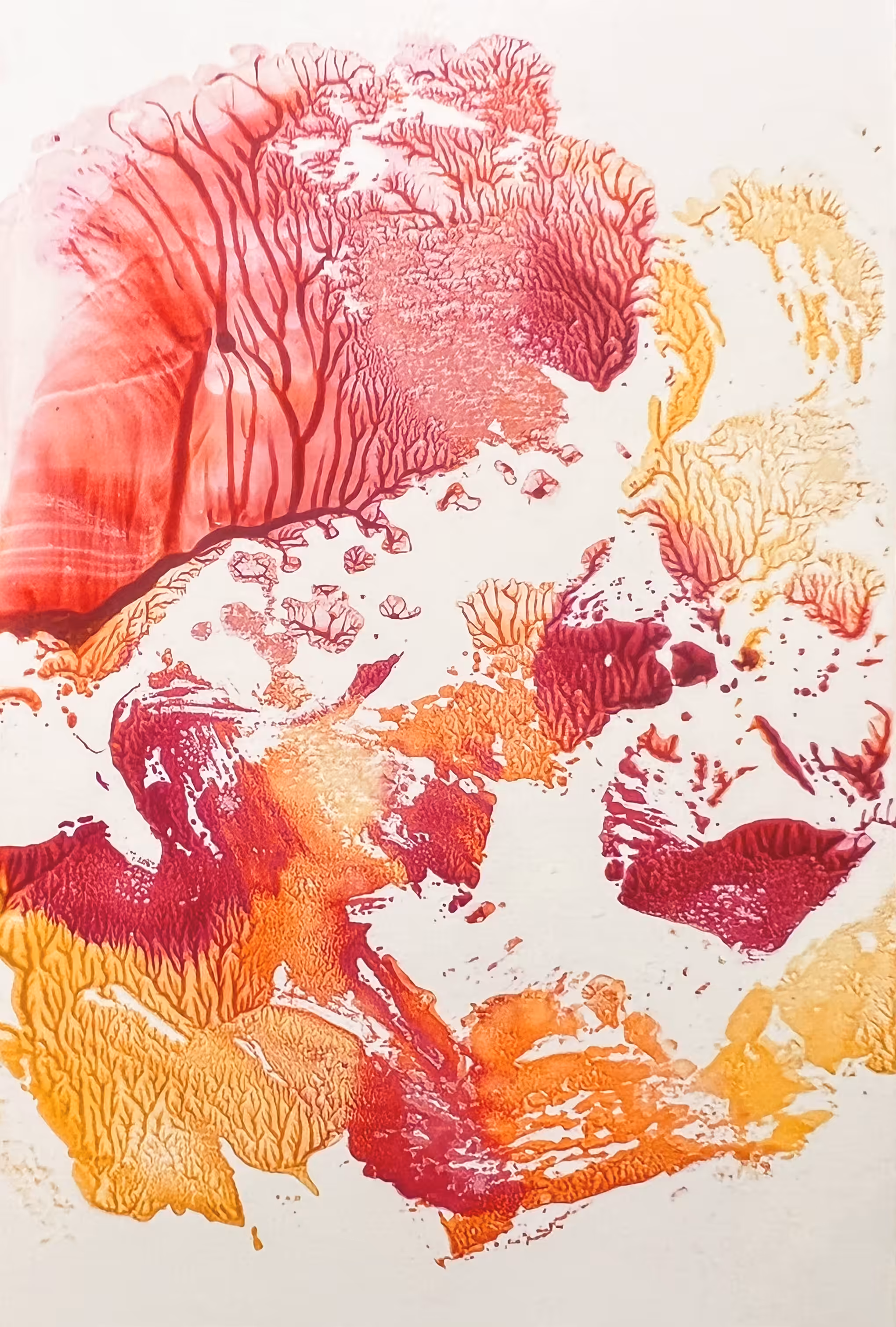 Coral