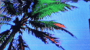 Warped Nature: abai-