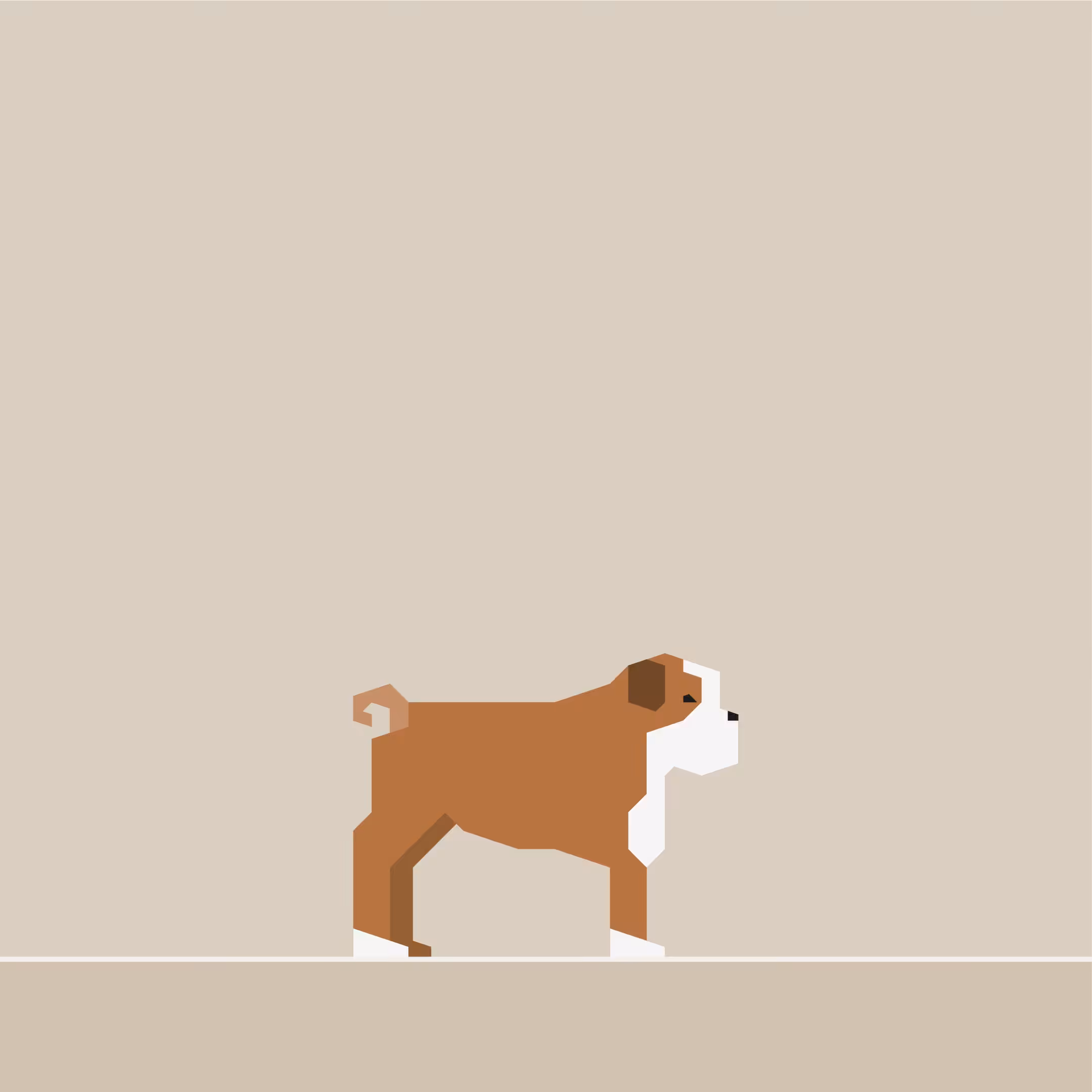 English Bulldog
