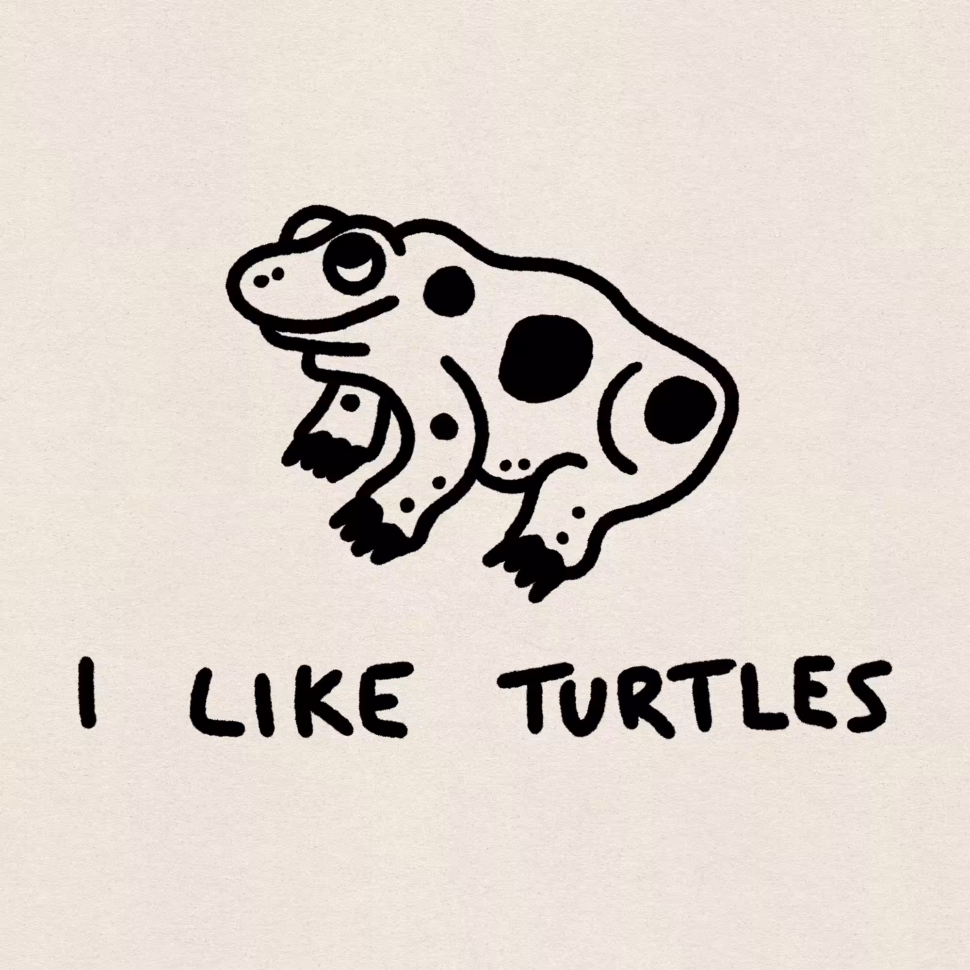 I like turtles.