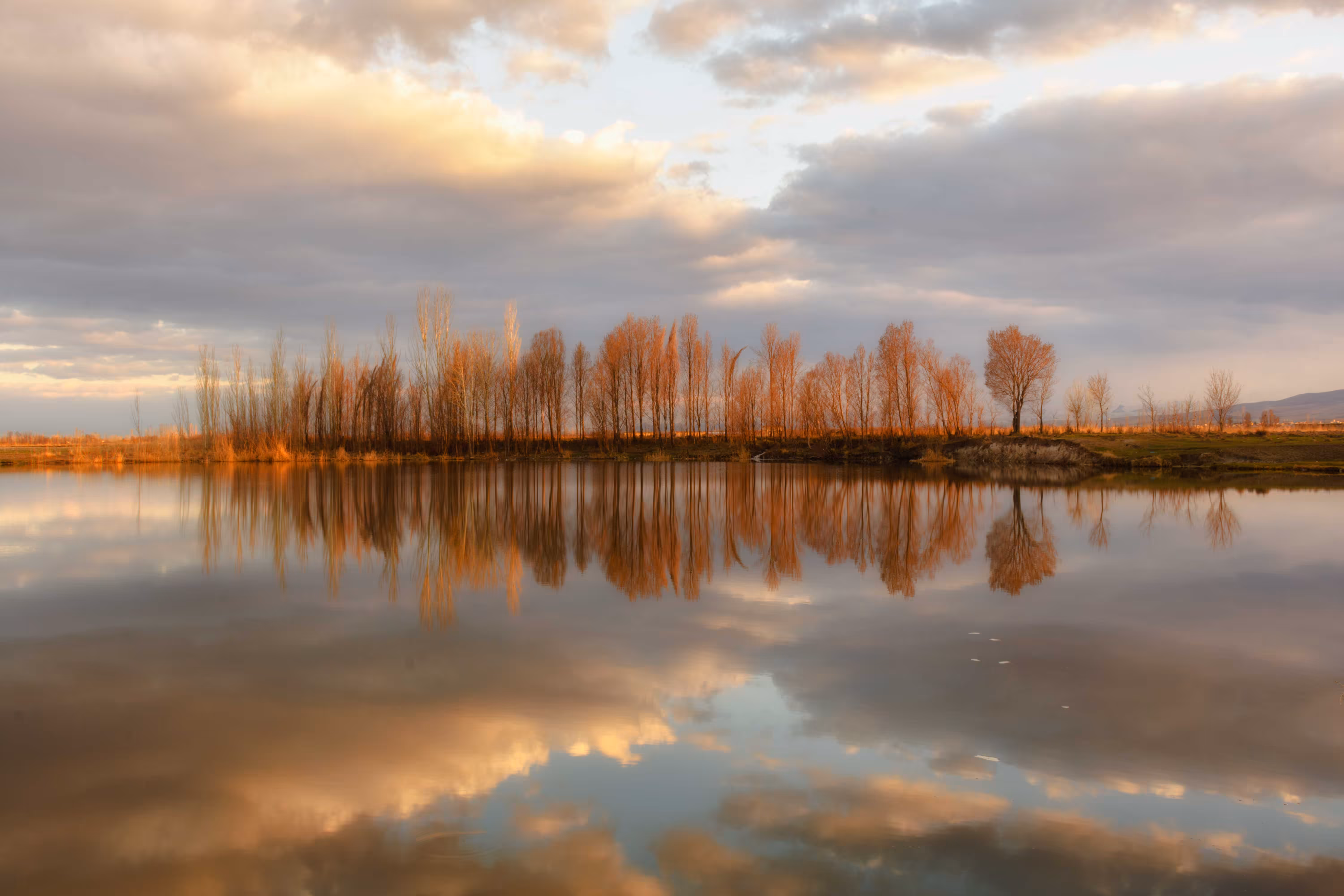 Reflection