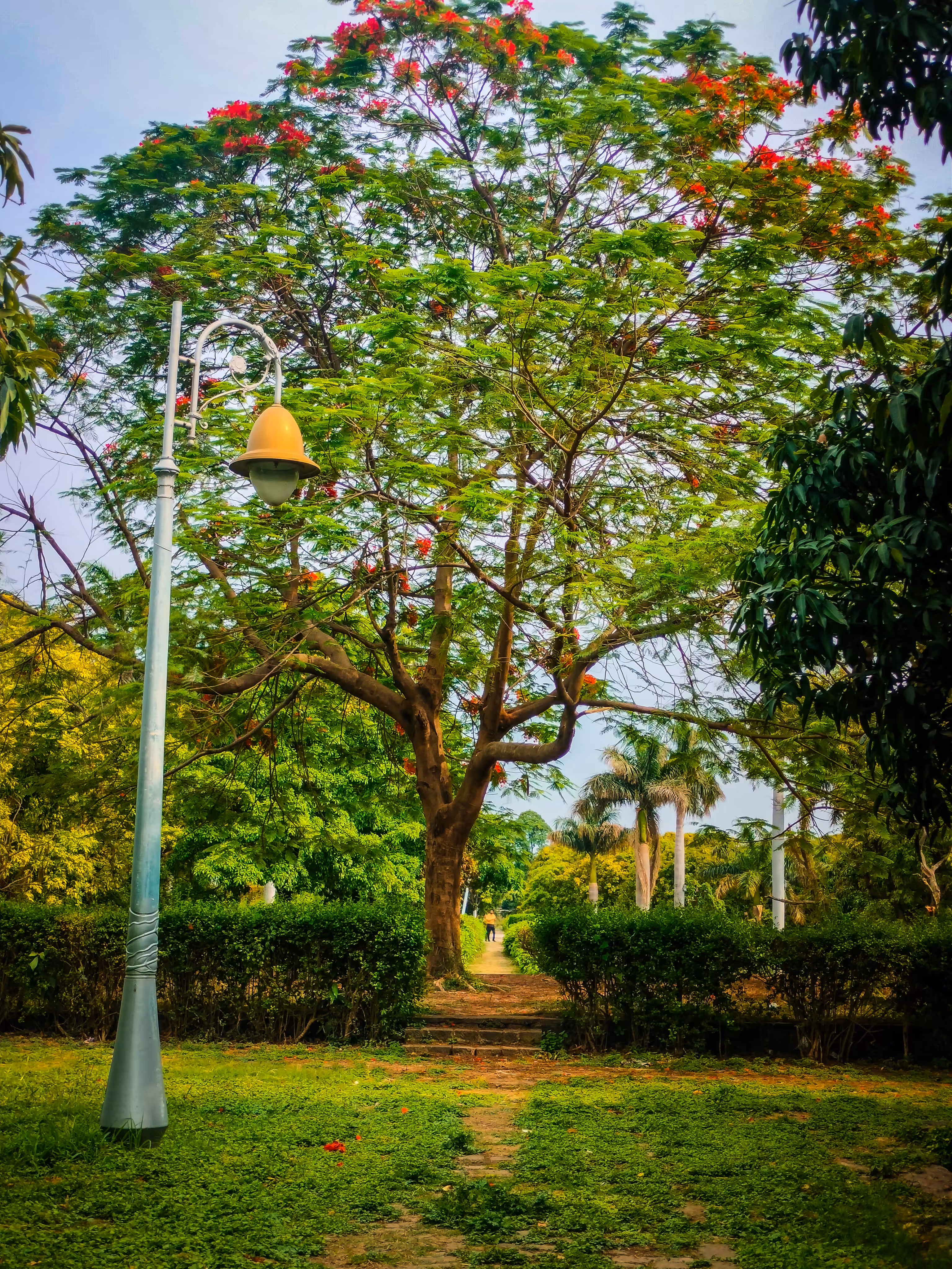 The Unforgotten Path