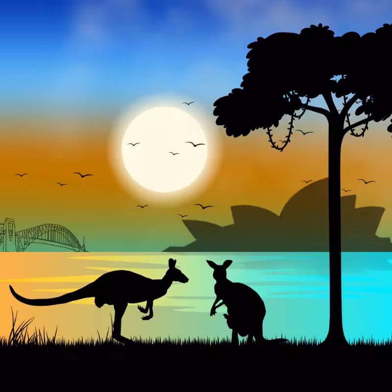 We Care...Kangaroo #2