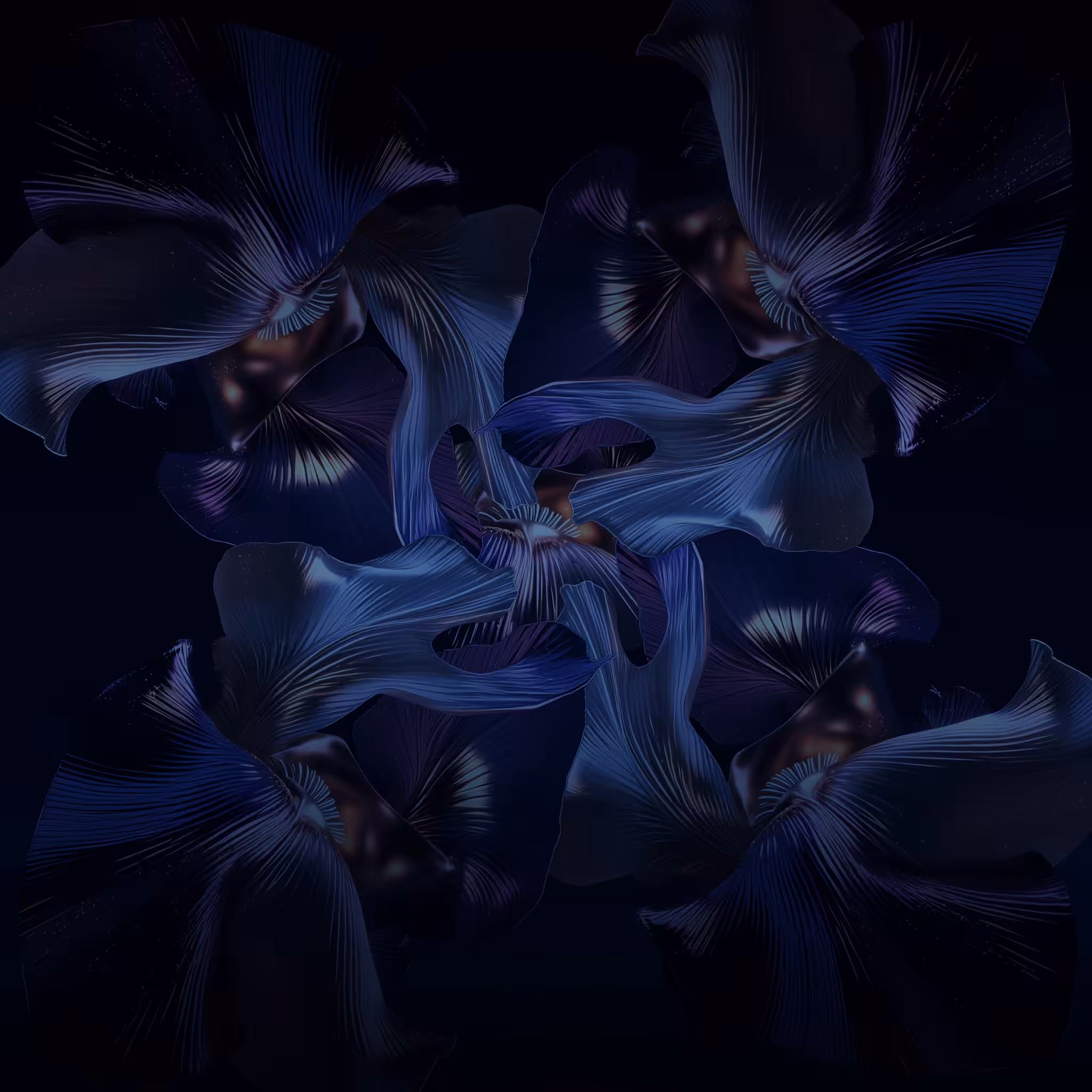 Midnight Bloom