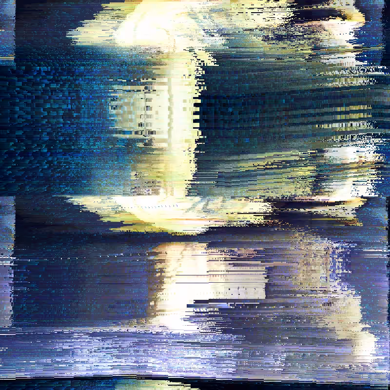 12005.png