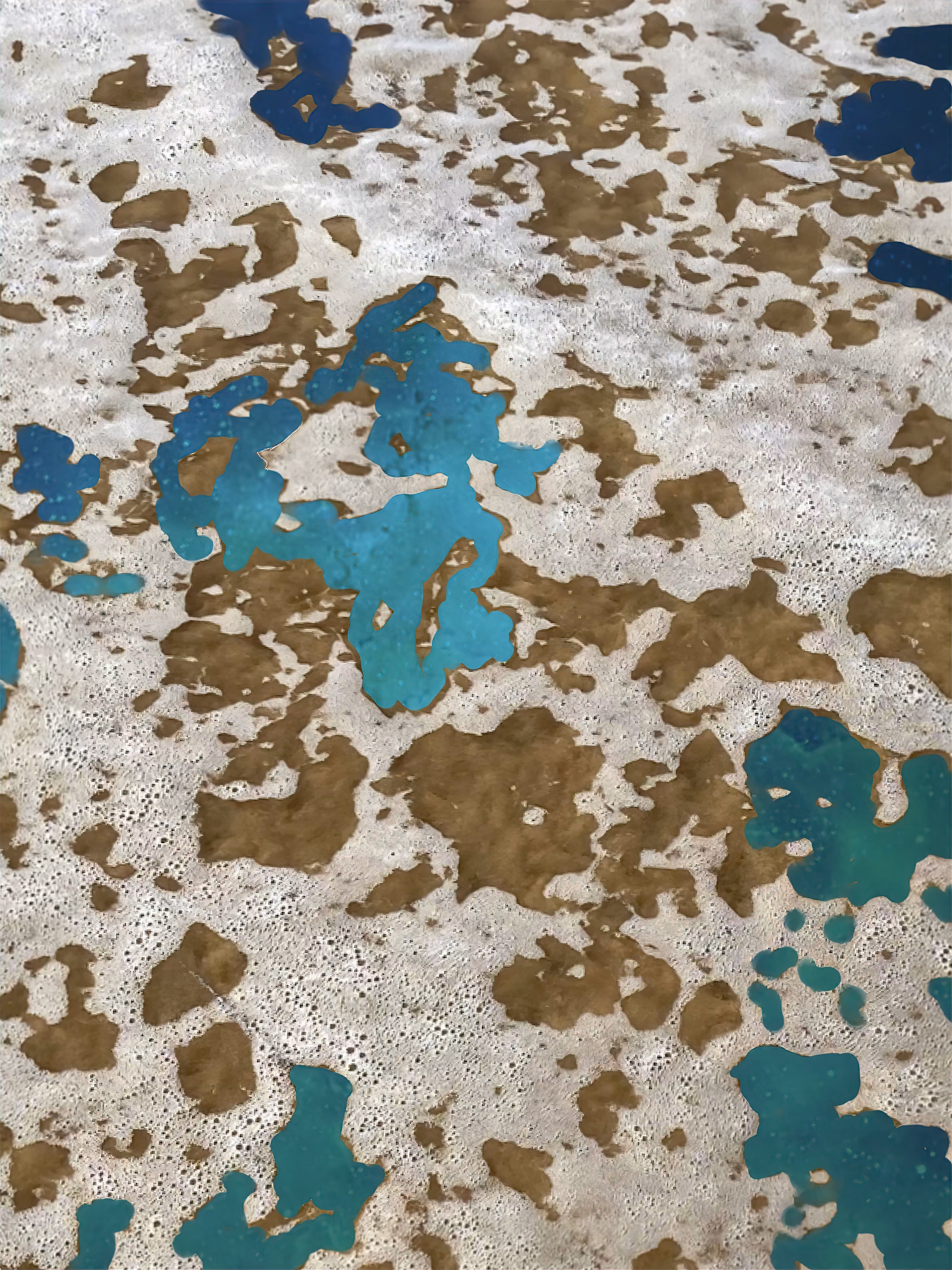 ENDEAVOURS: SURFACES