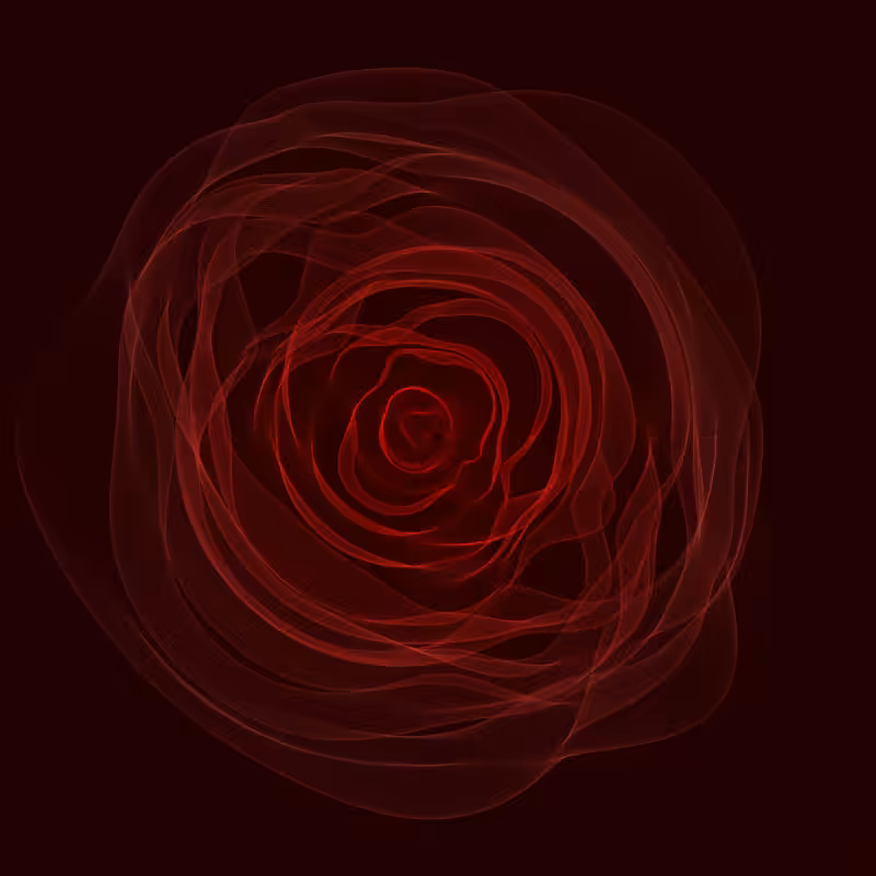 Roses #19