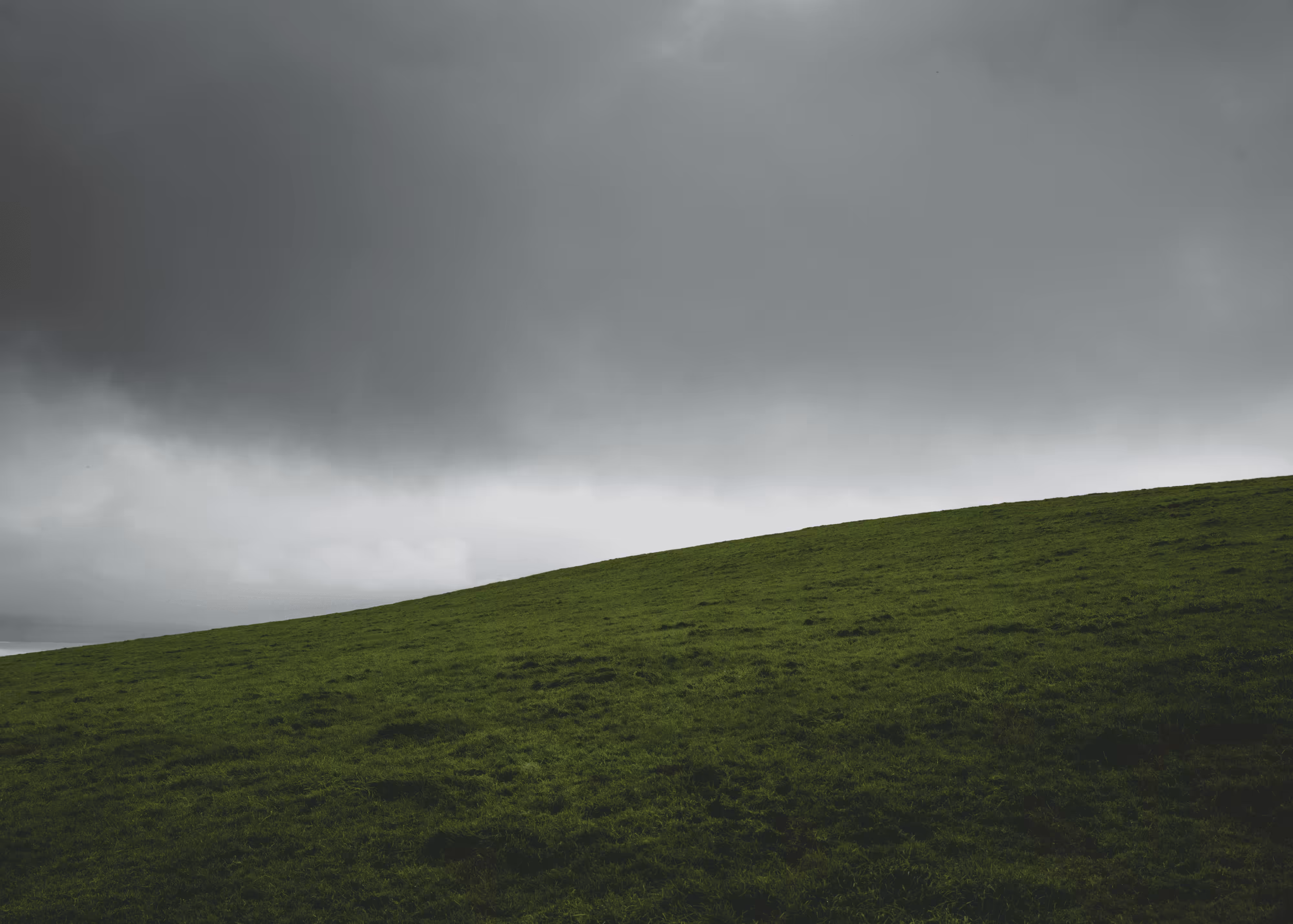 Landscape #8 - Field