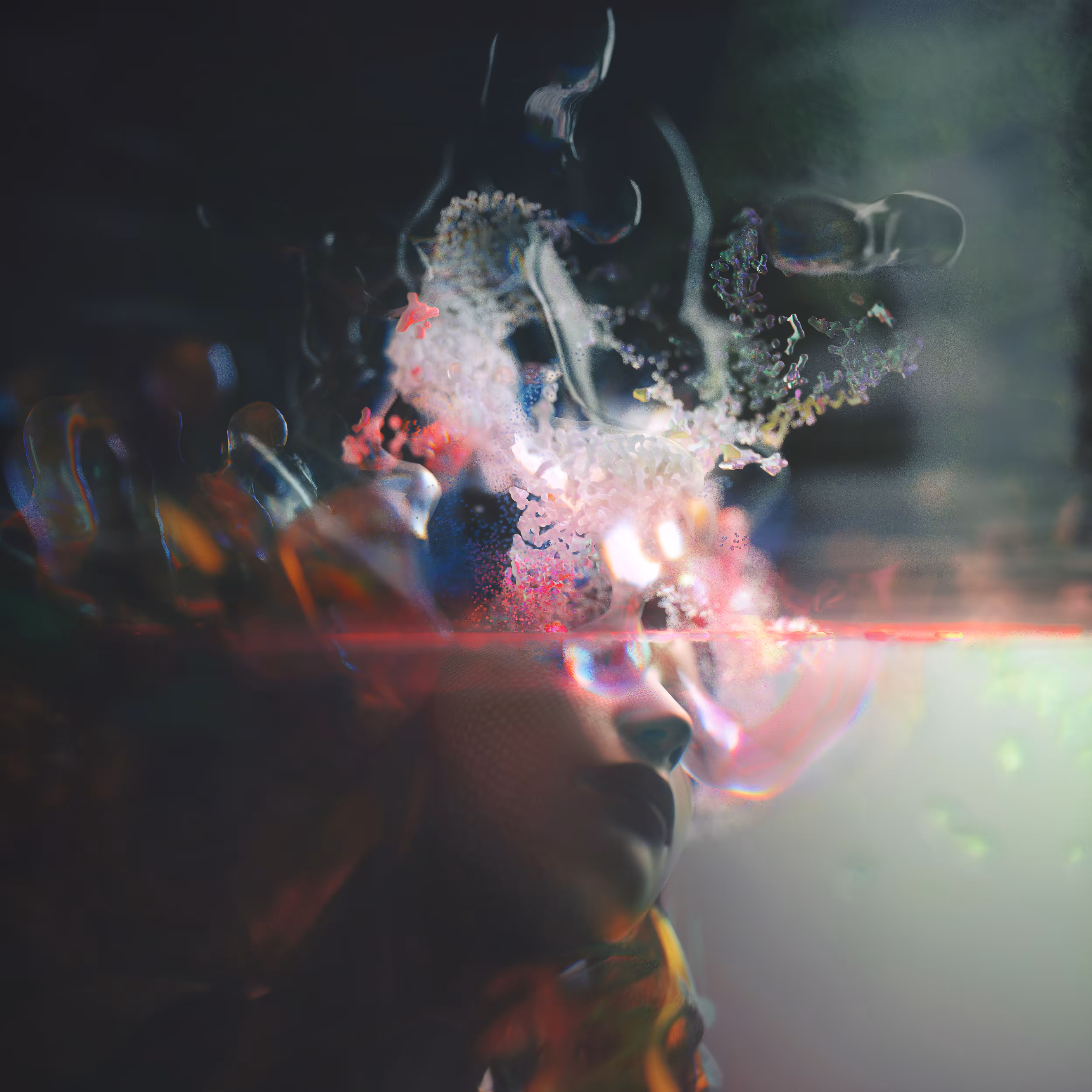slice of reality