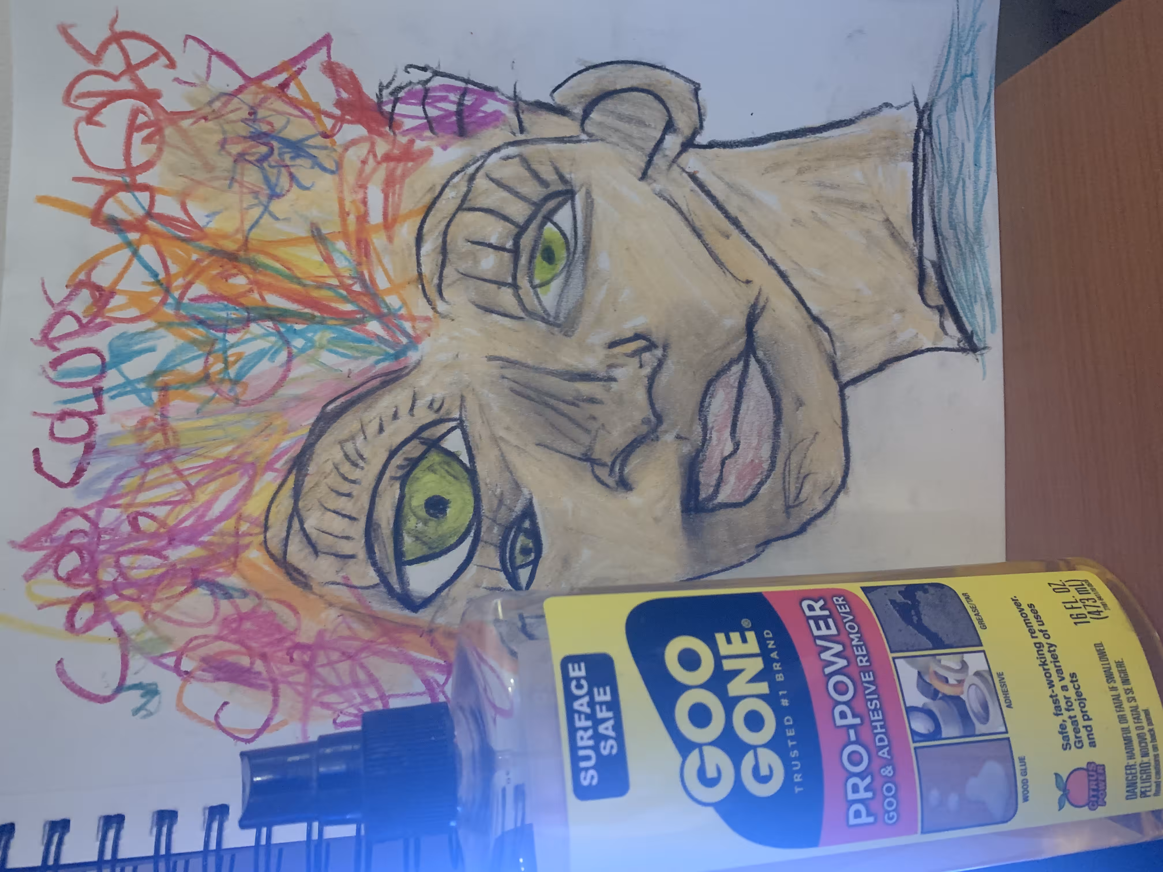 GOO GONE
