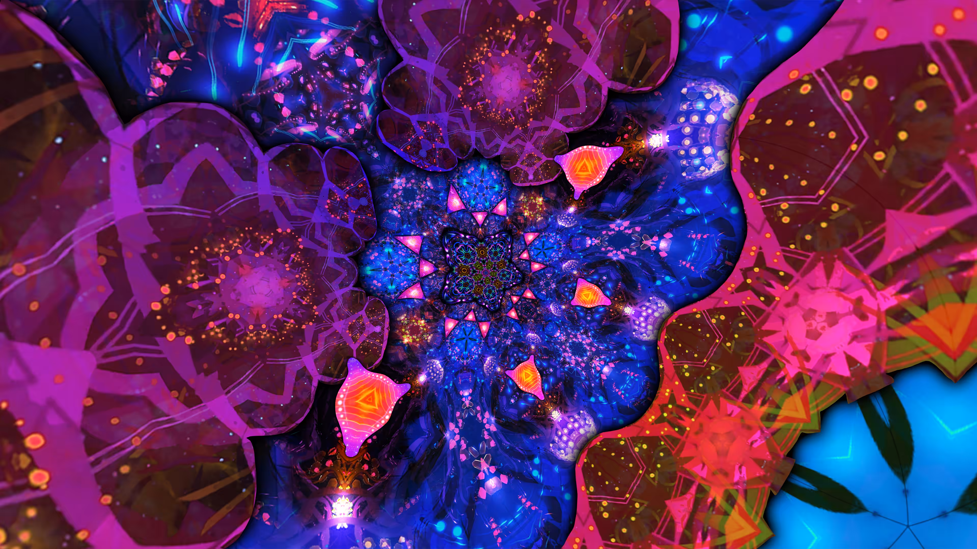 Warp #037