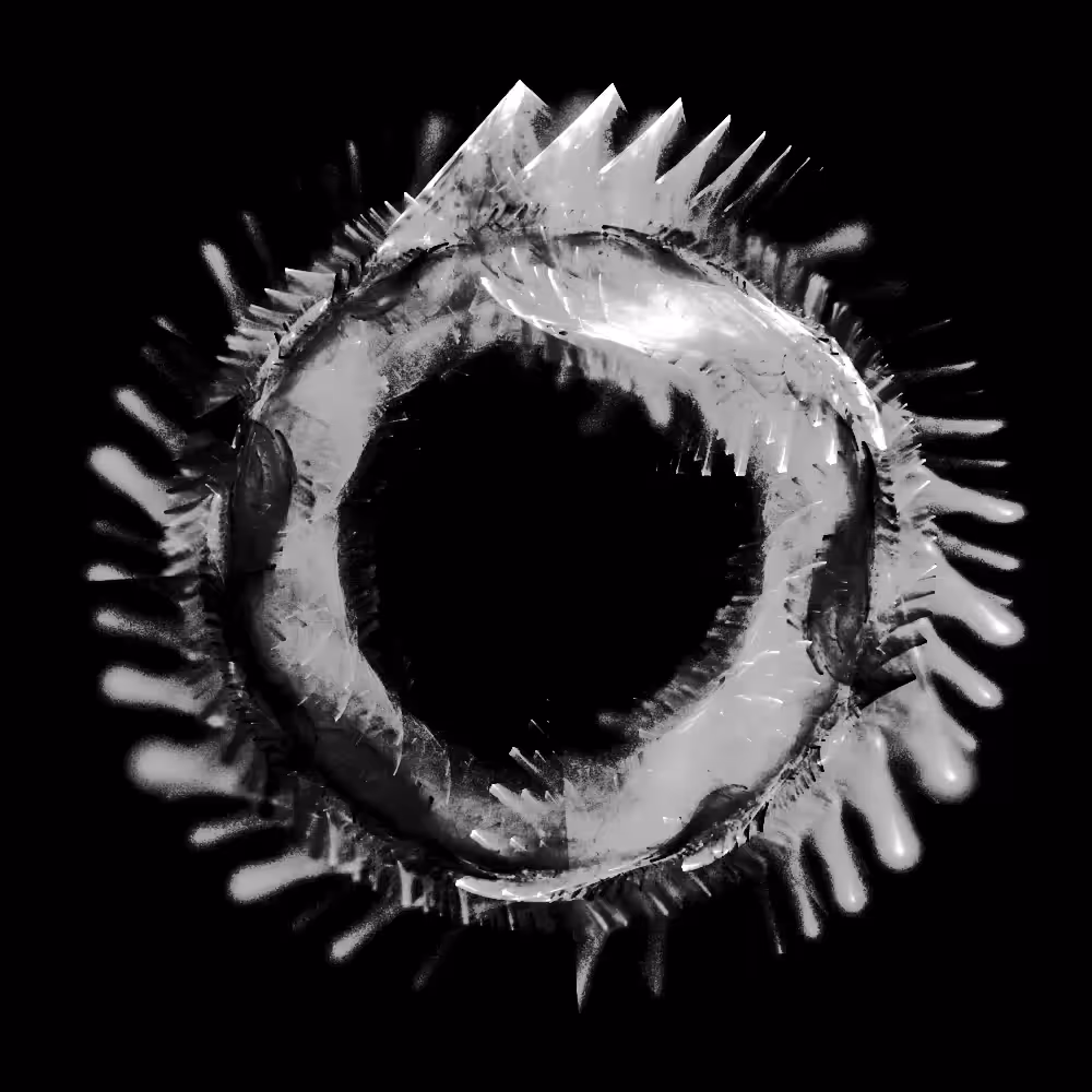 ⌘ Ƒřȃçţȃļş ∺