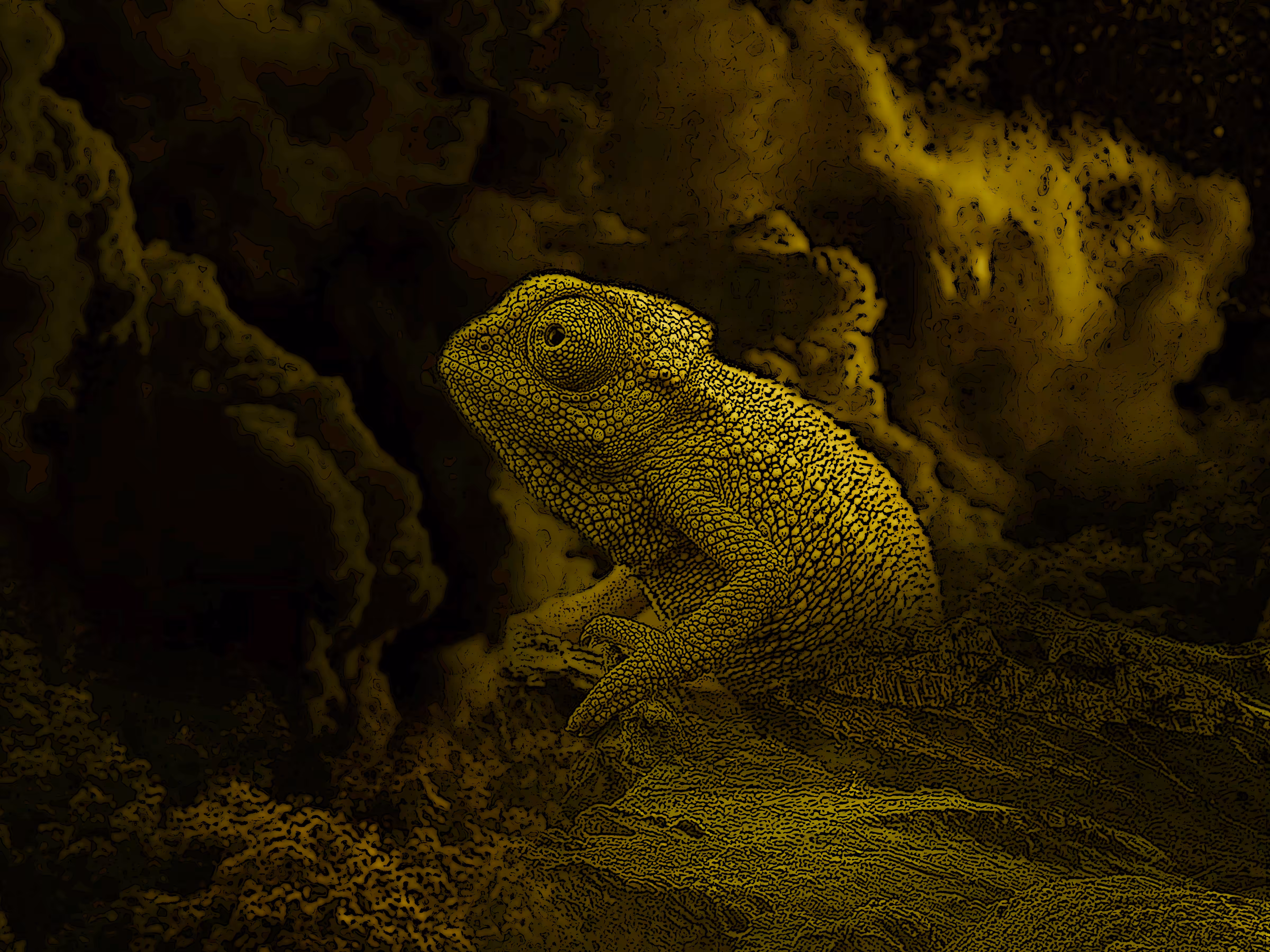 Photo Manipulation Art : A Thoughtful Chameleon 